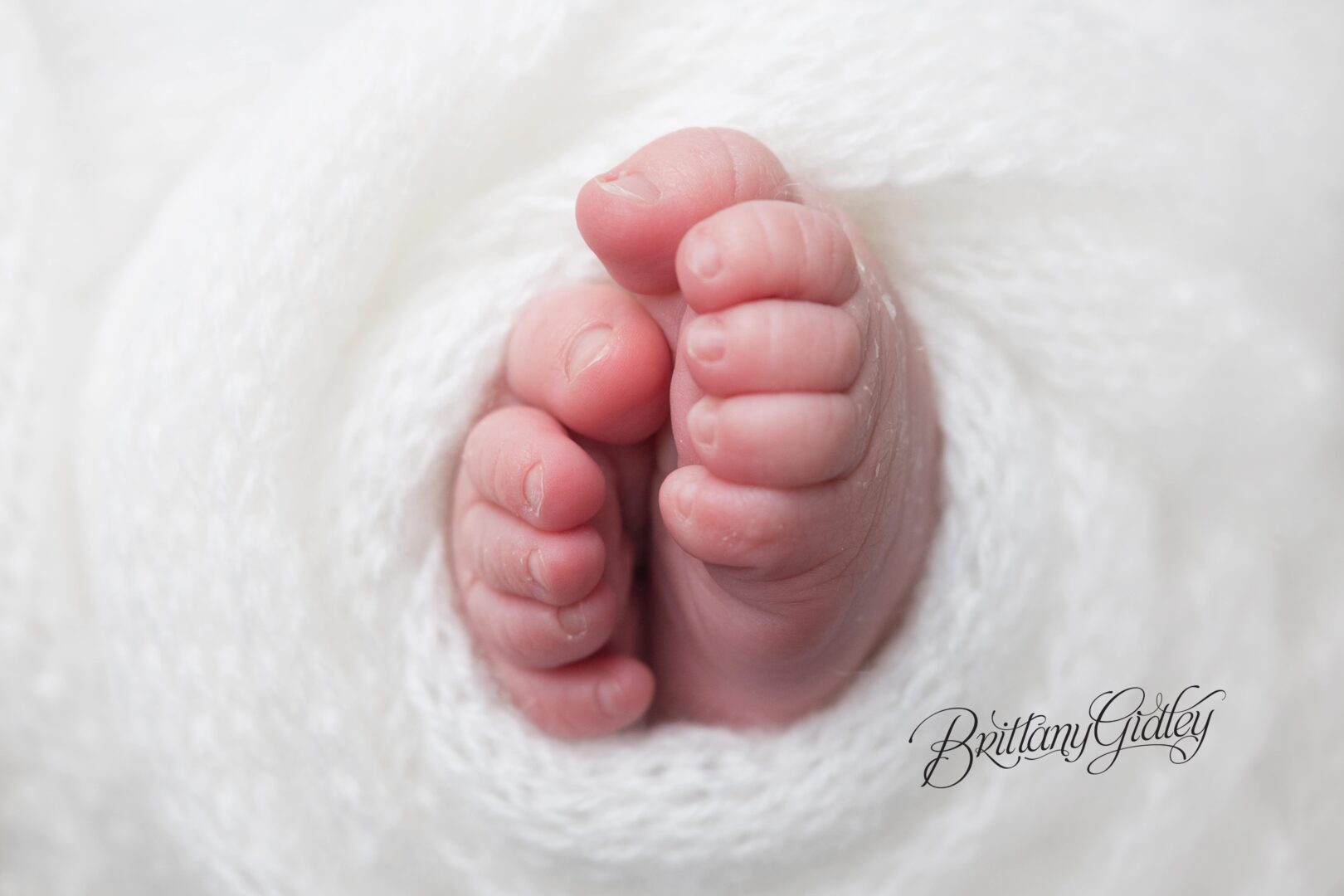 Photography Studio Specializing in Newborns