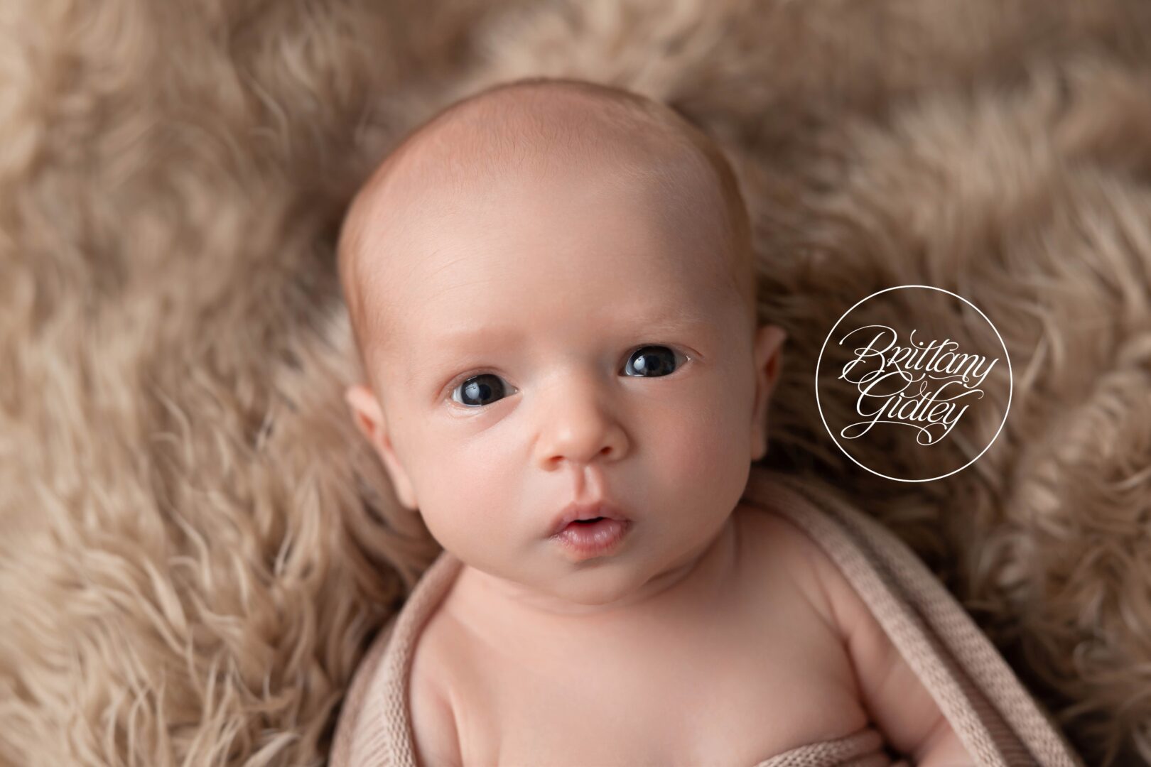 Photography Studio Specializing in Preemies
