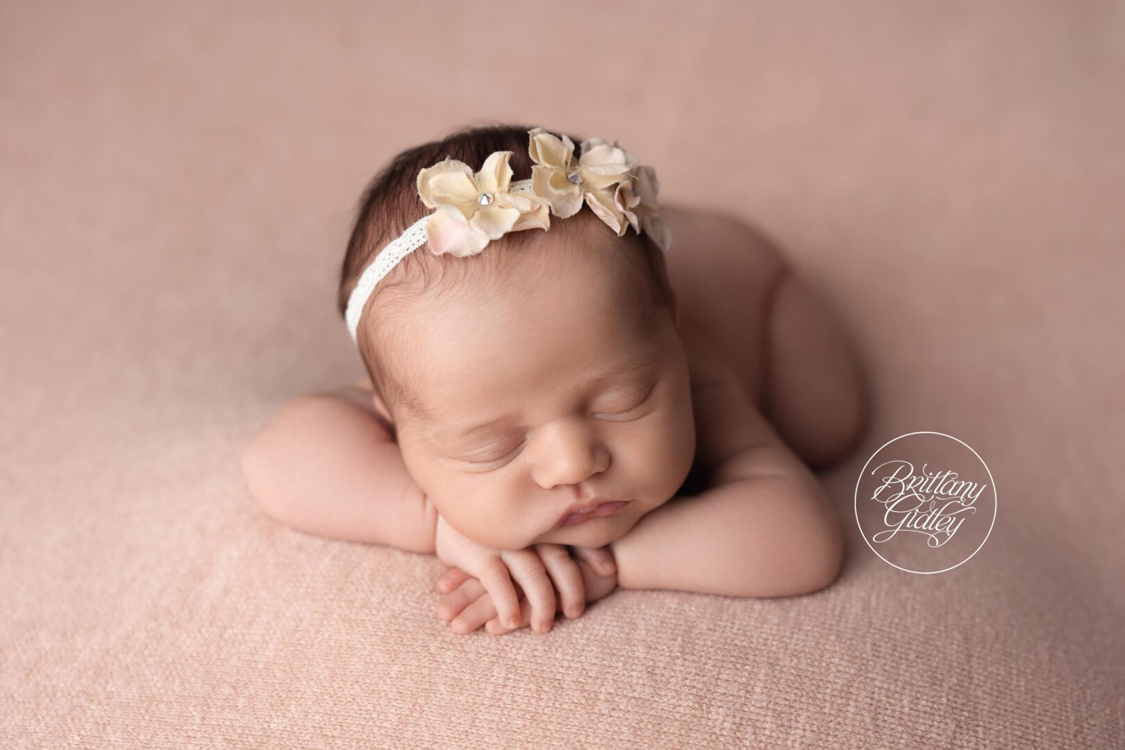 Cleveland Heights Newborn Photographer