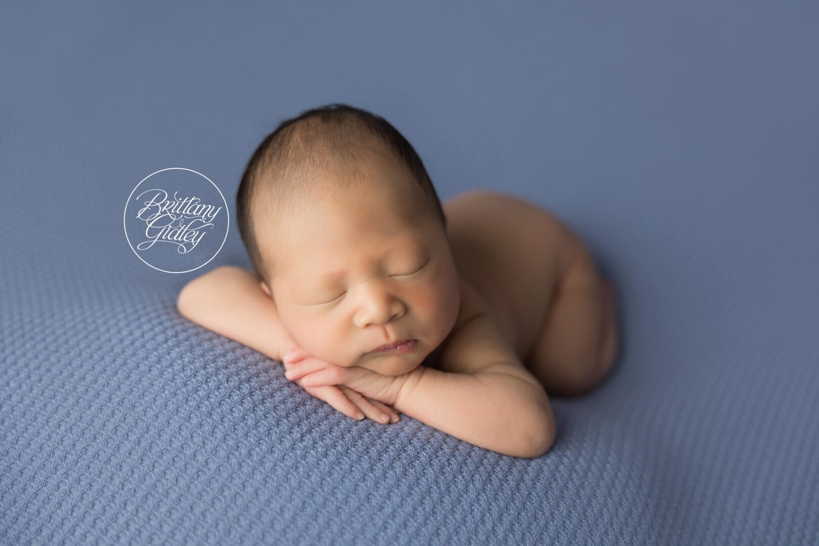 Newborn Photographers