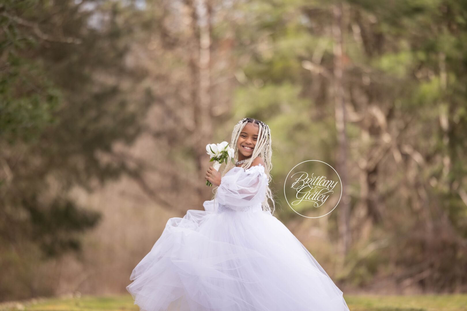 Brecksville Reservation It's Greys World | A Decade of Dreams Dream Session