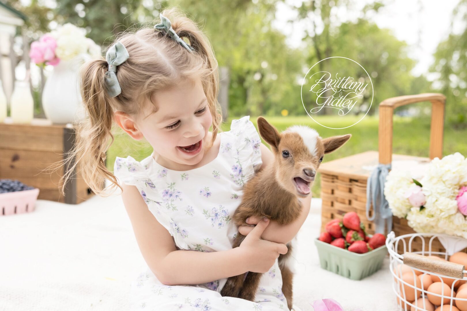 Baby Goat Picnic Pictures | Goats and Giggles Dream Session
