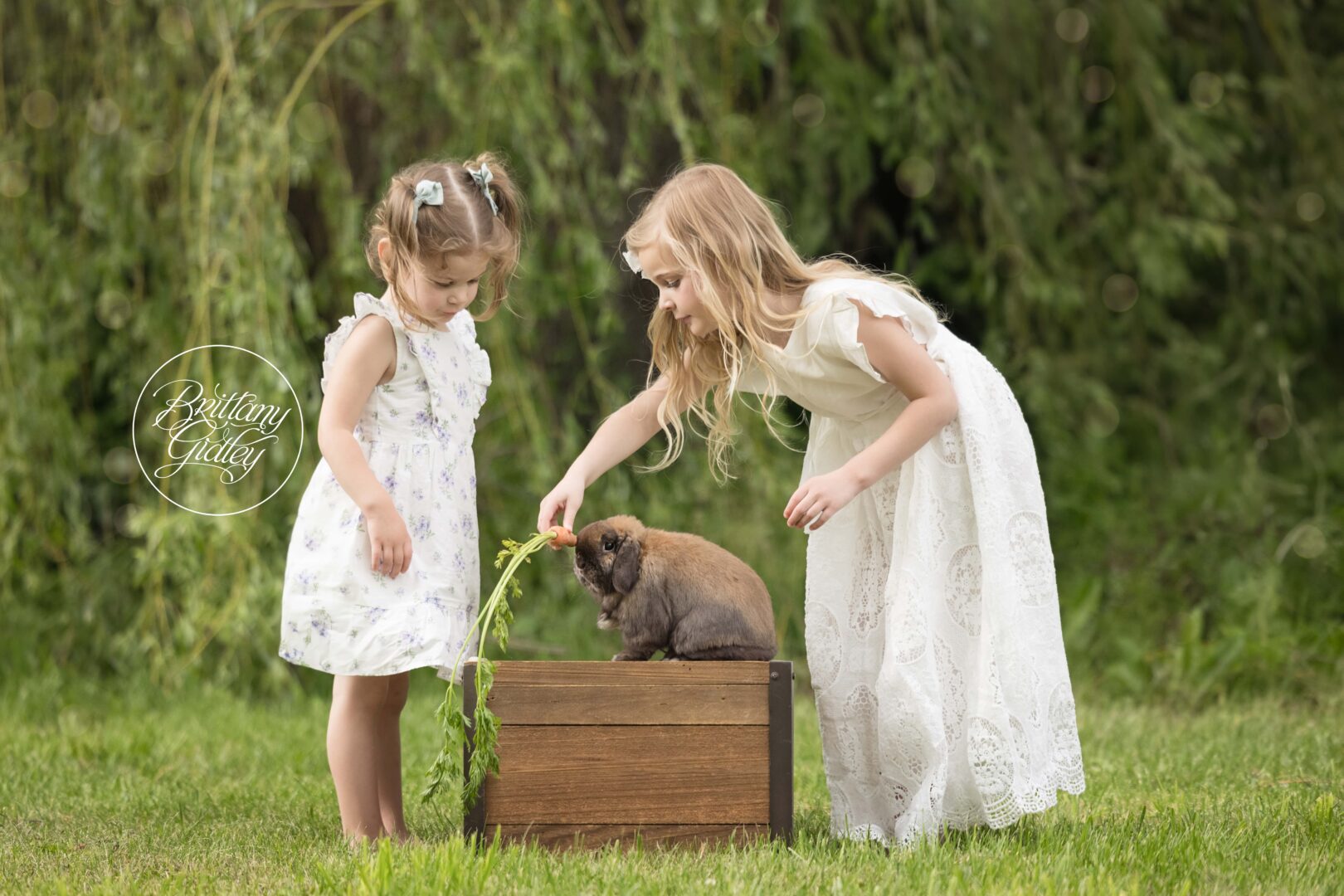 Bunny Photo Shoot With Kids Brittany Gidley Photography