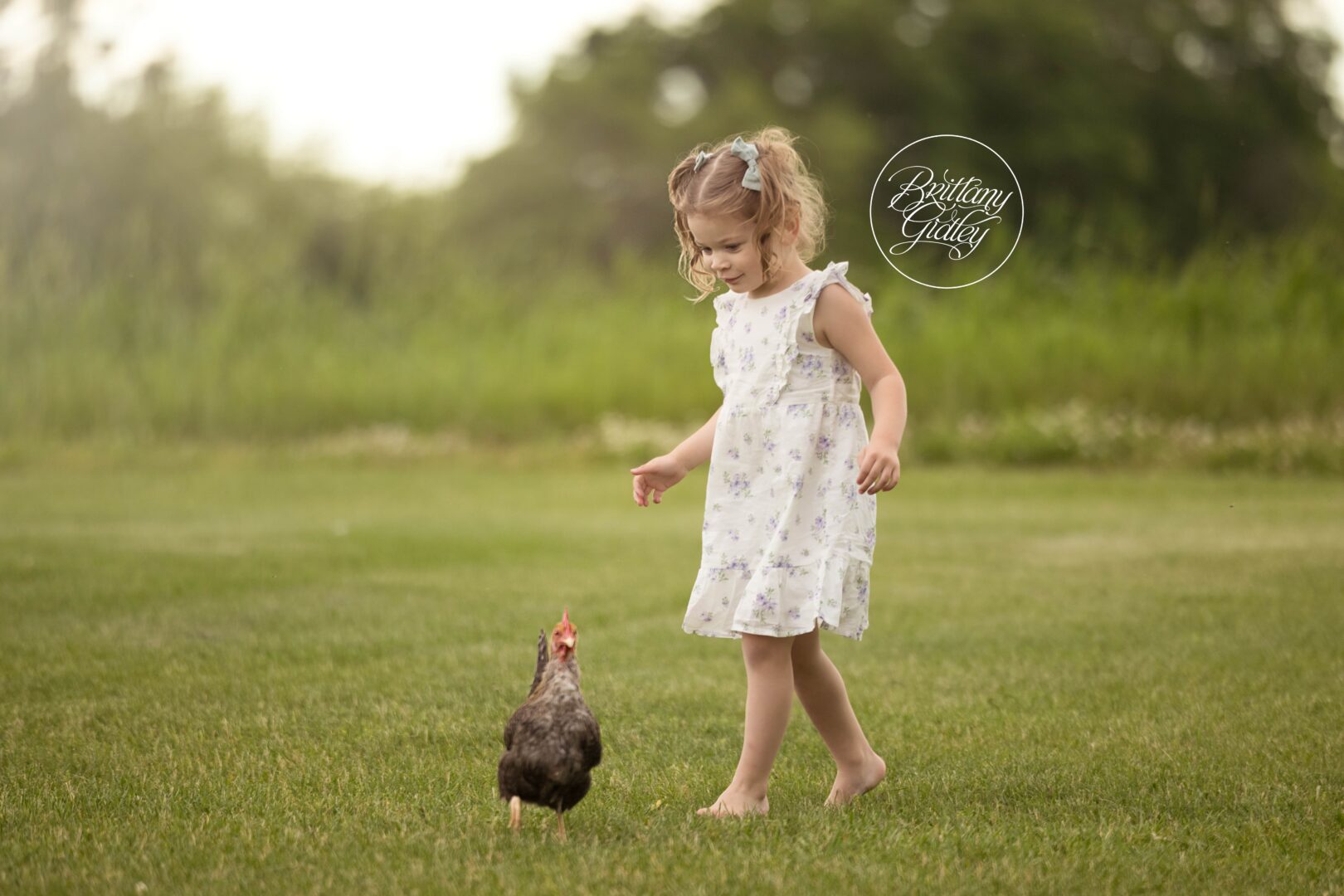Farm Dream Session