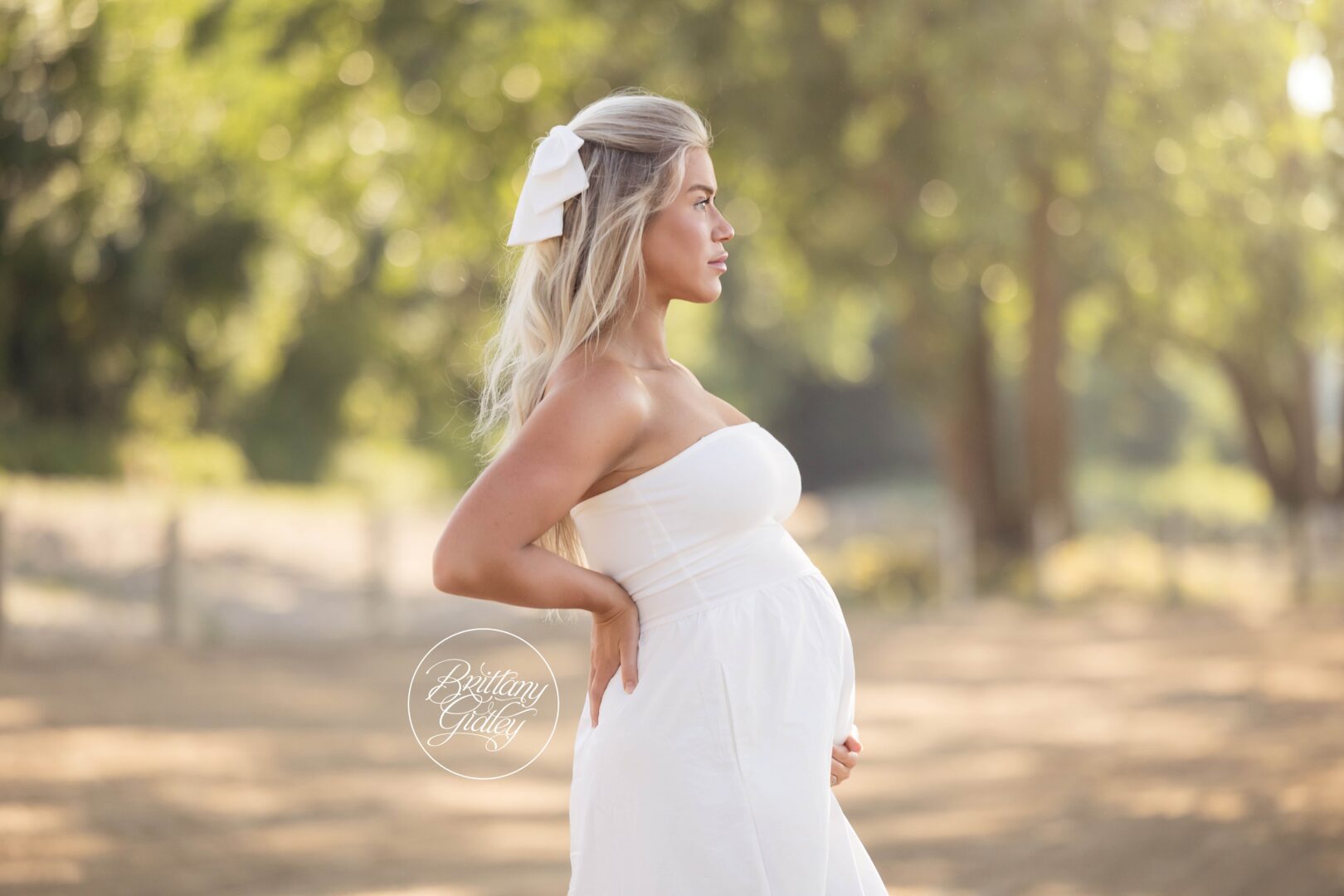 Best Maternity Photography Cleveland Ohio