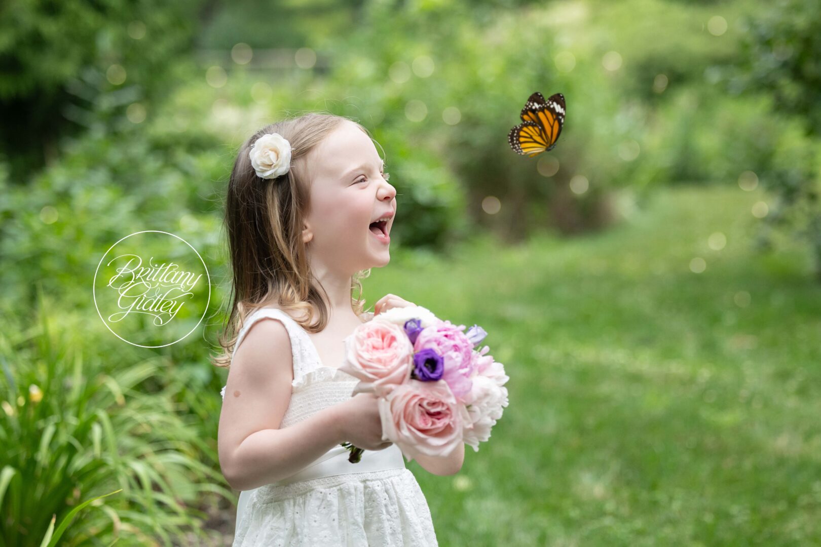 Butterfly Photo Shoot | Butterflies and Buttercream