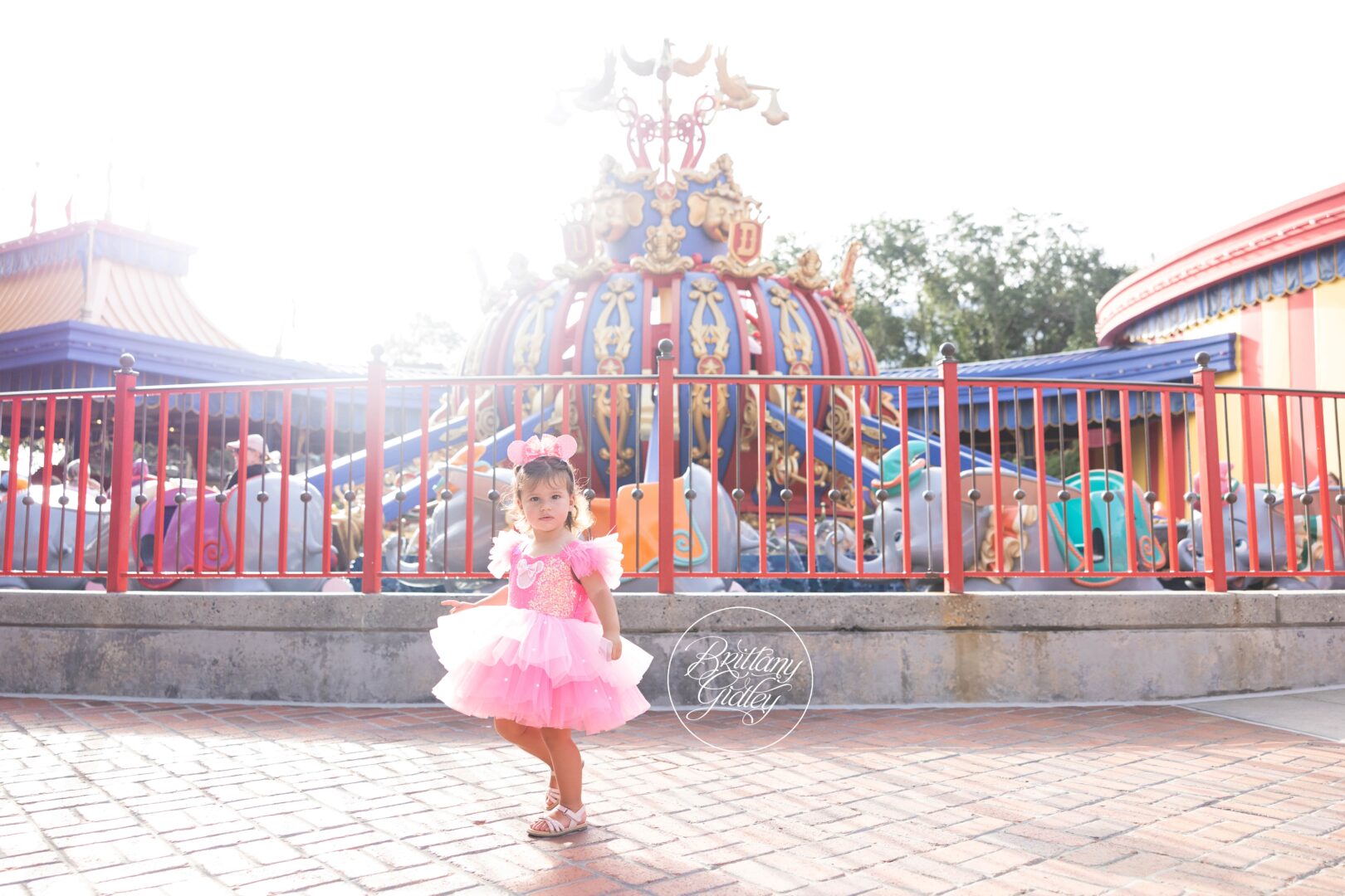 Disney Photographer