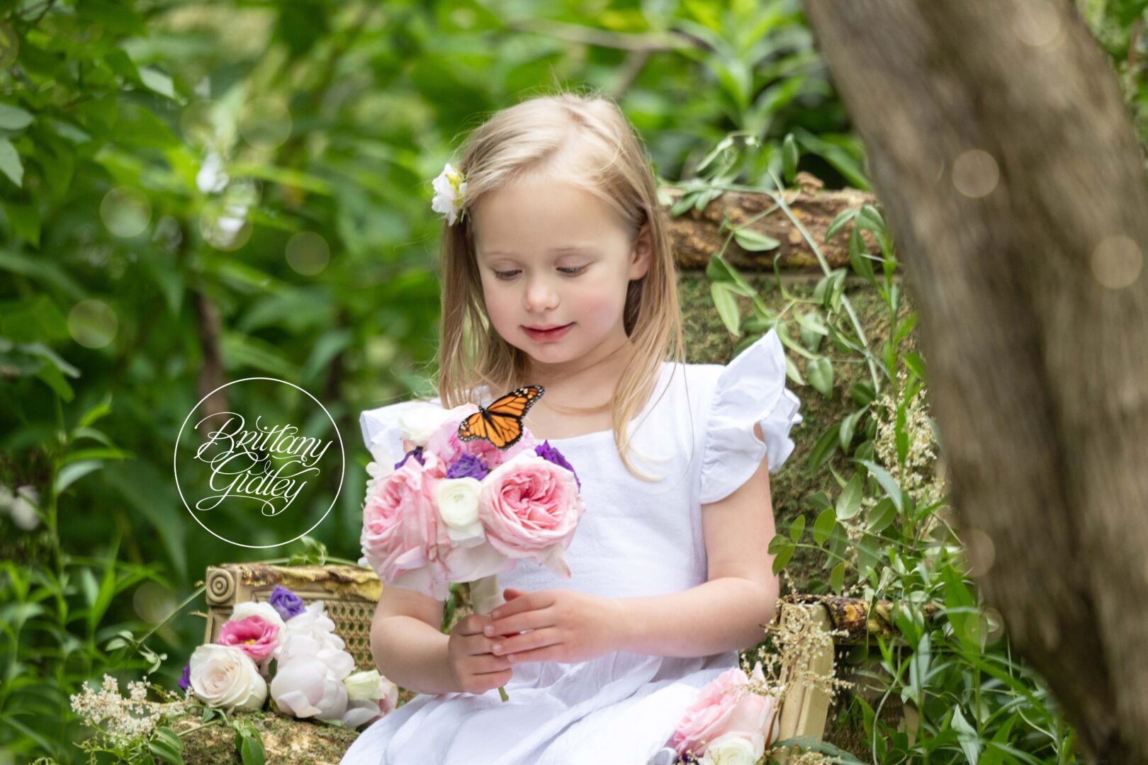 Photo Shoot With Butterflies