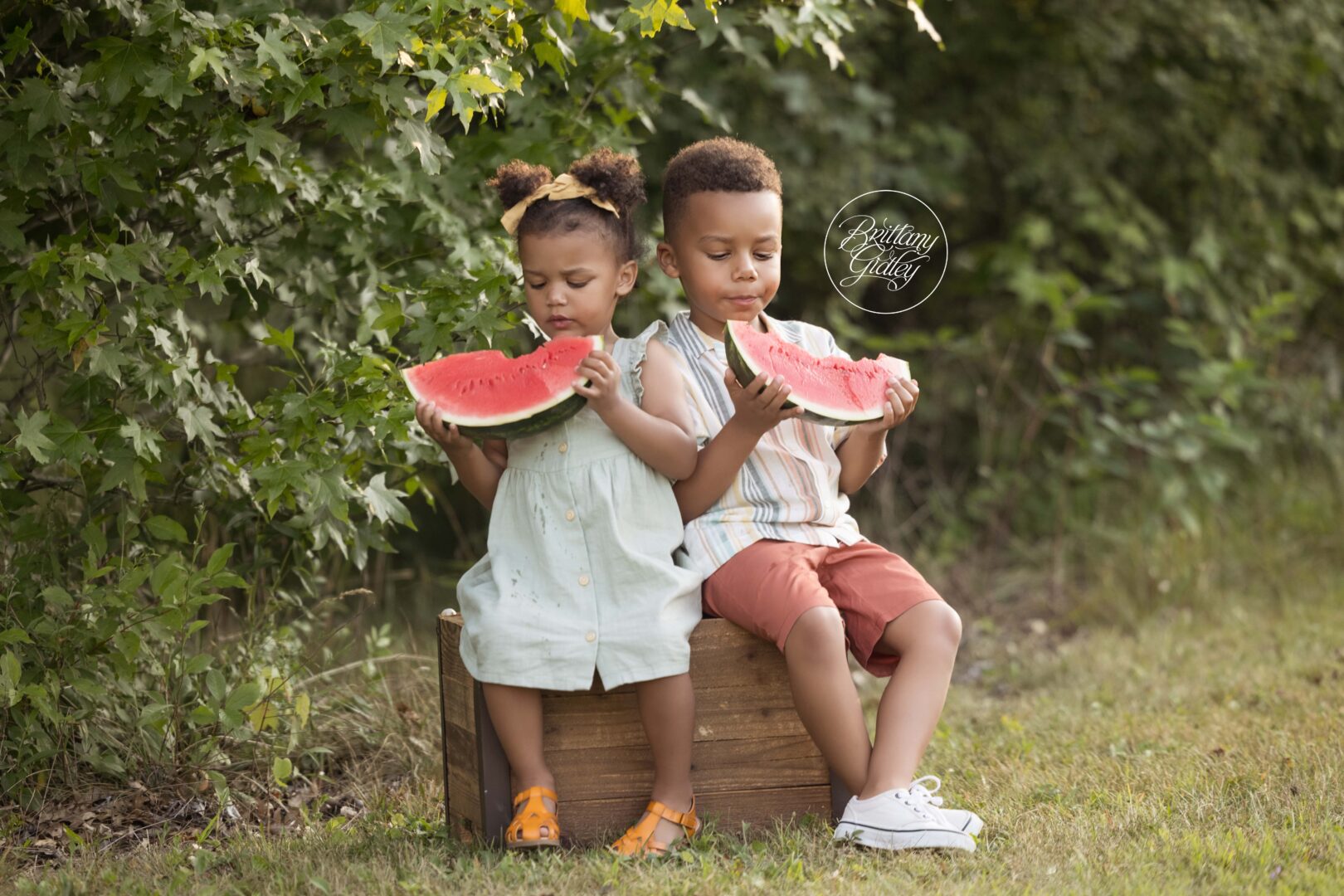 Watermelon Photo Shoot Kids