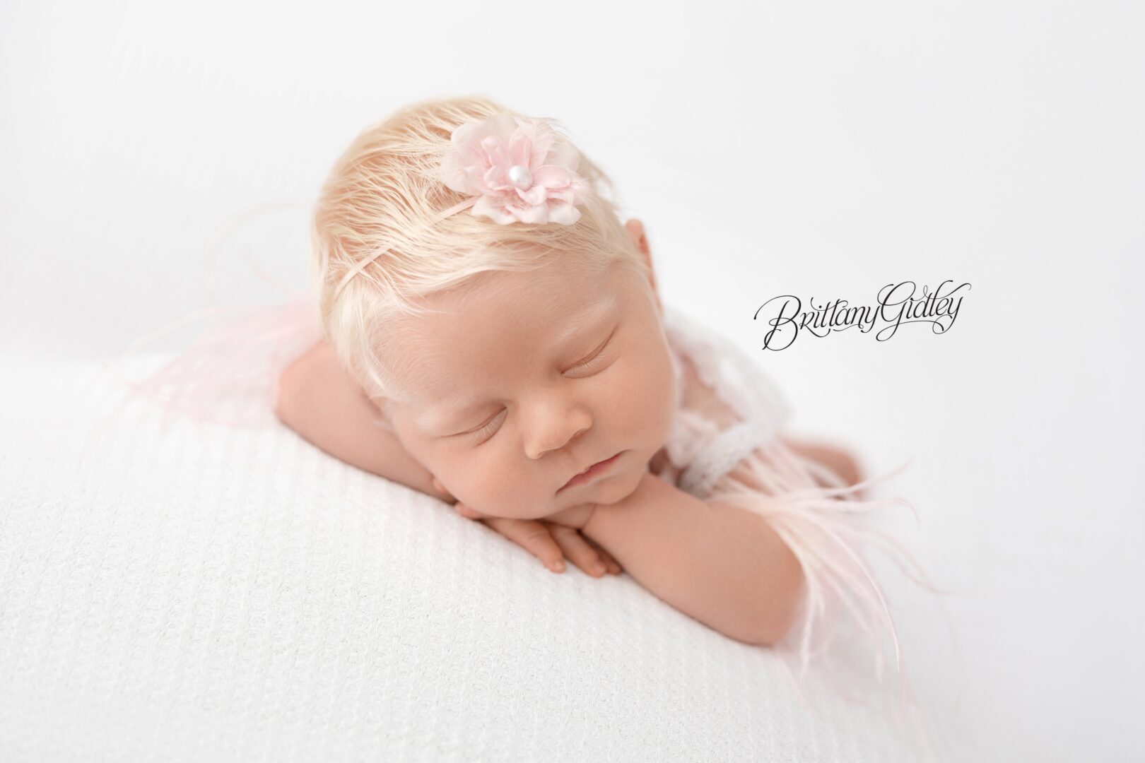 Baby Girl Photo Shoot