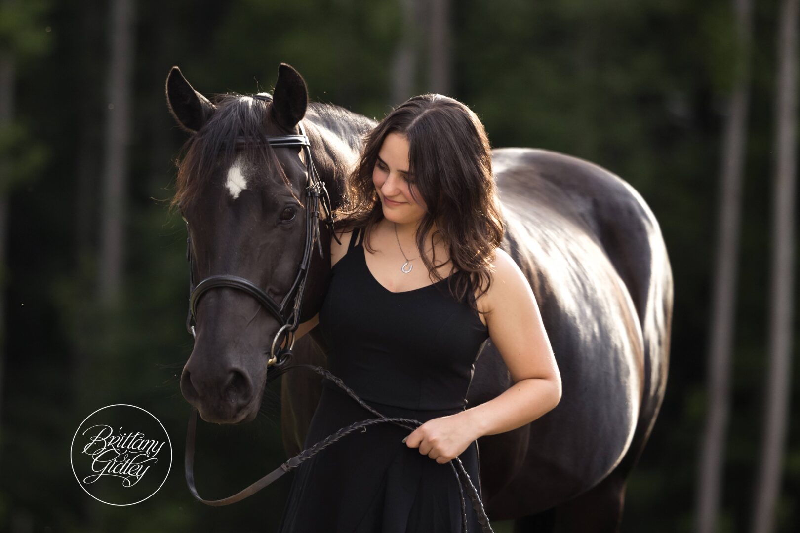 Horse Photo Shoot Images