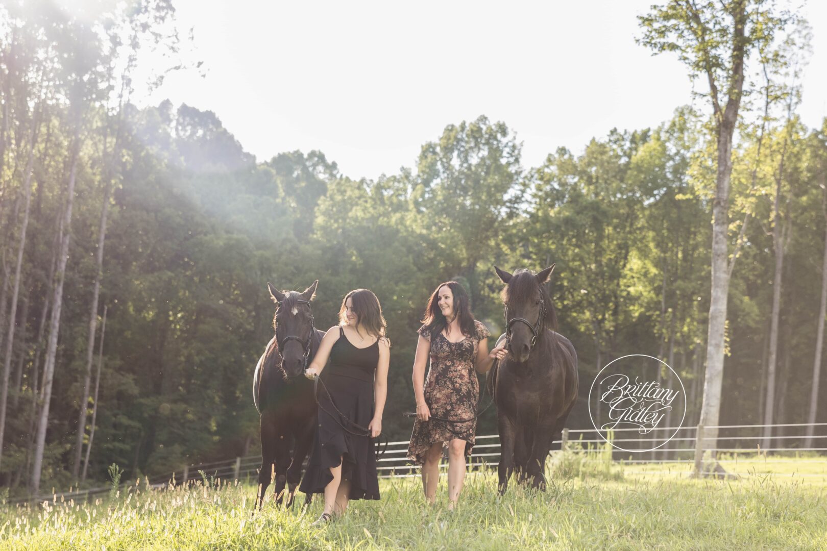Pennsylvania Photographer Horses