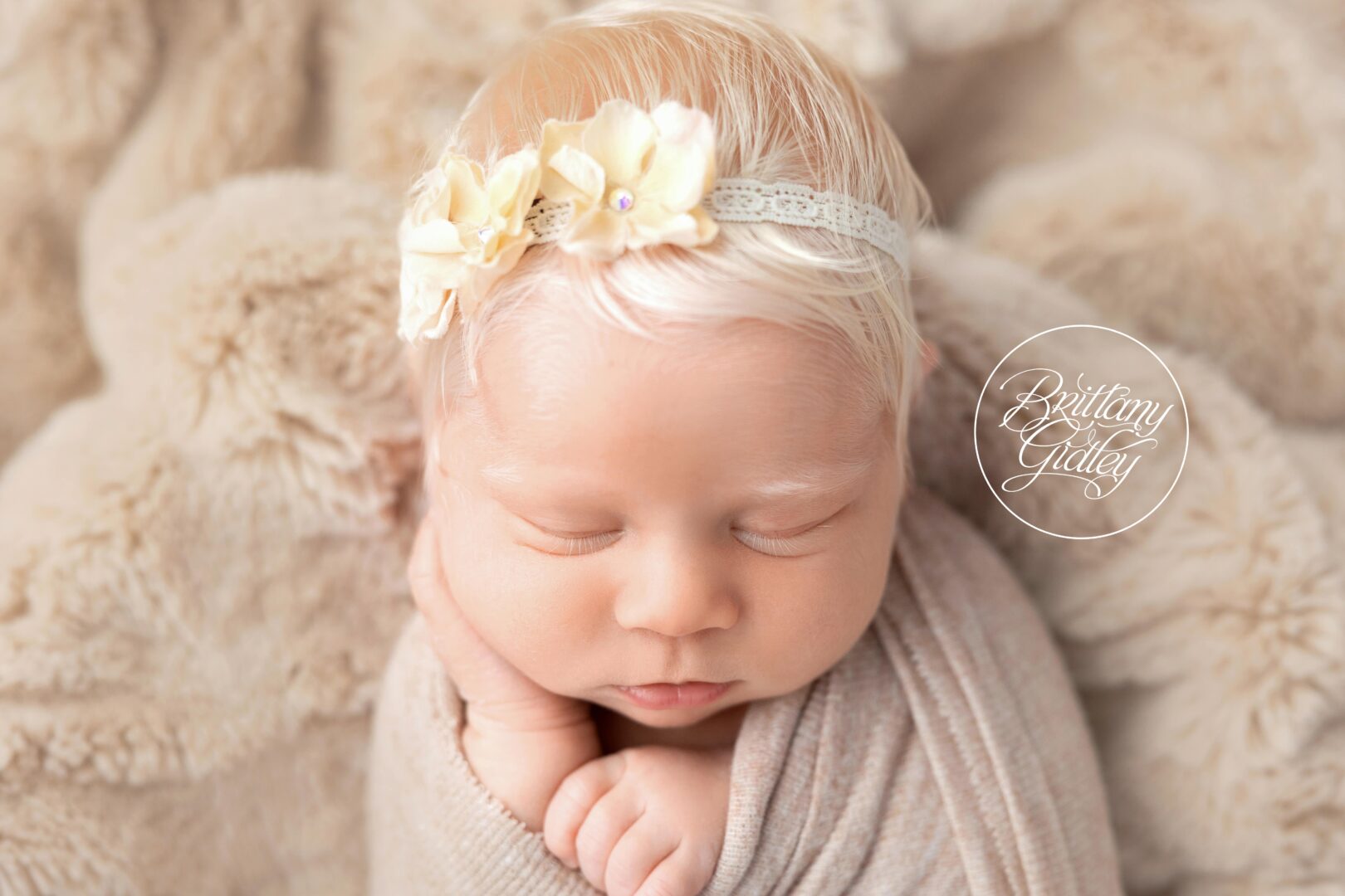 Photo Studio Newborn