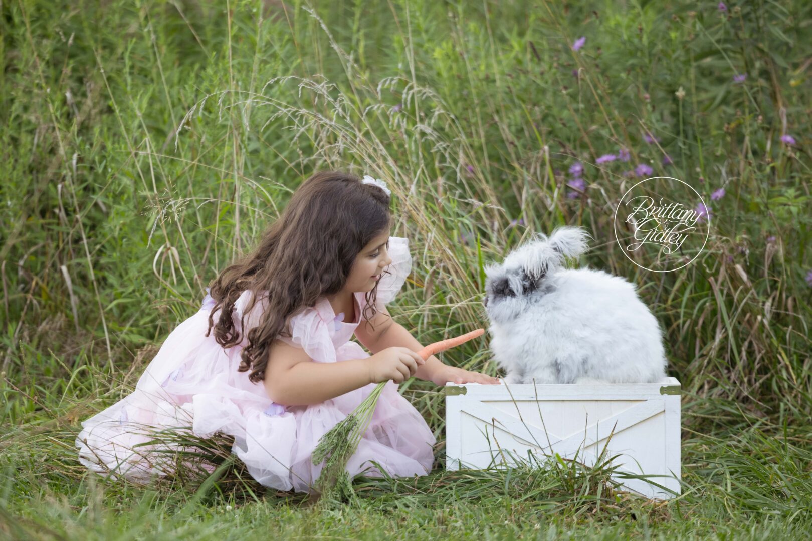 Bunny Photography Children | Bunny Dream Session