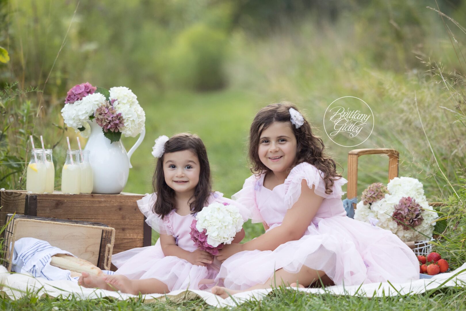 Family Picnic Photo Shoot