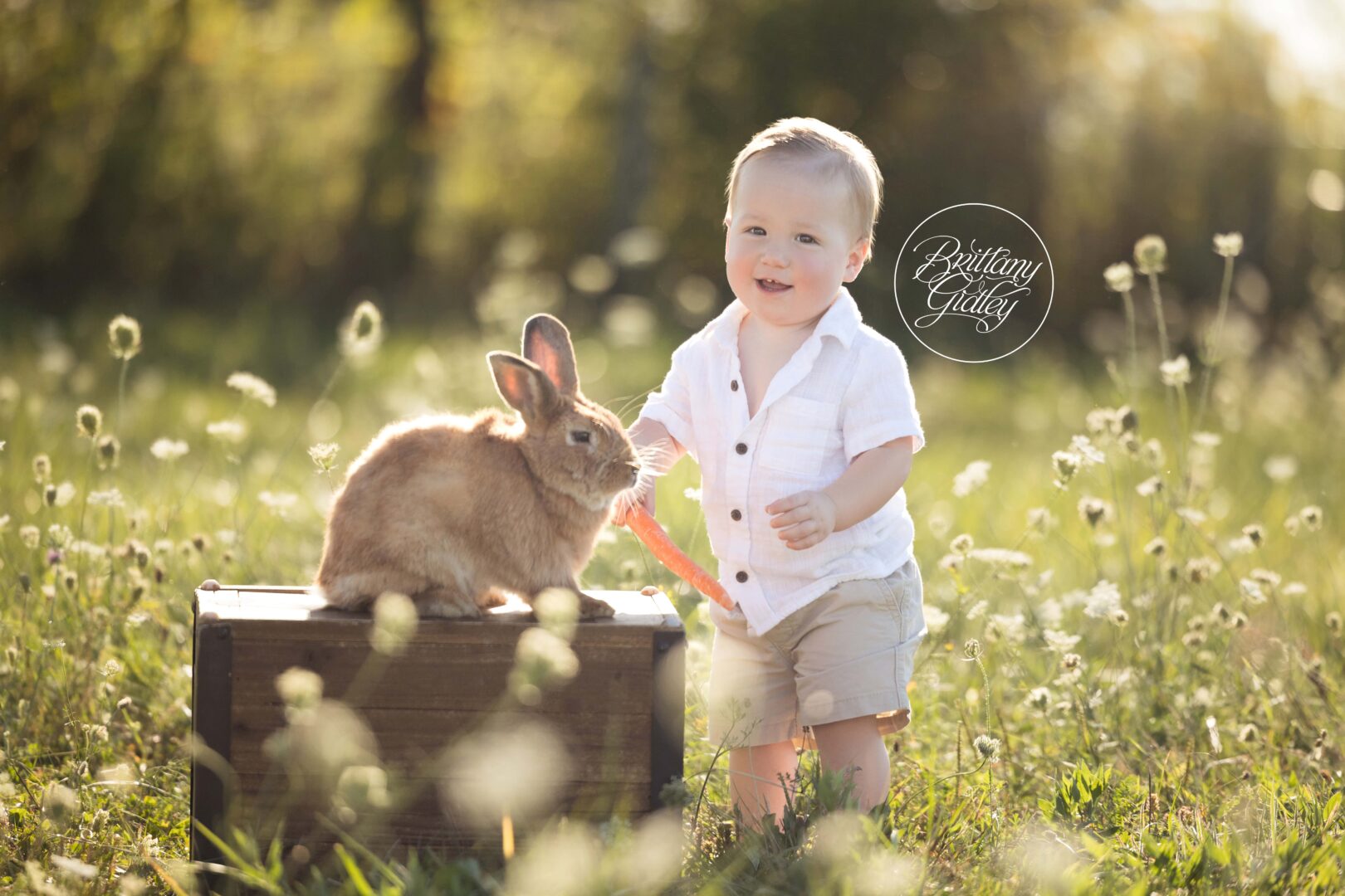 Farm Fun Dream Session James 12 Months