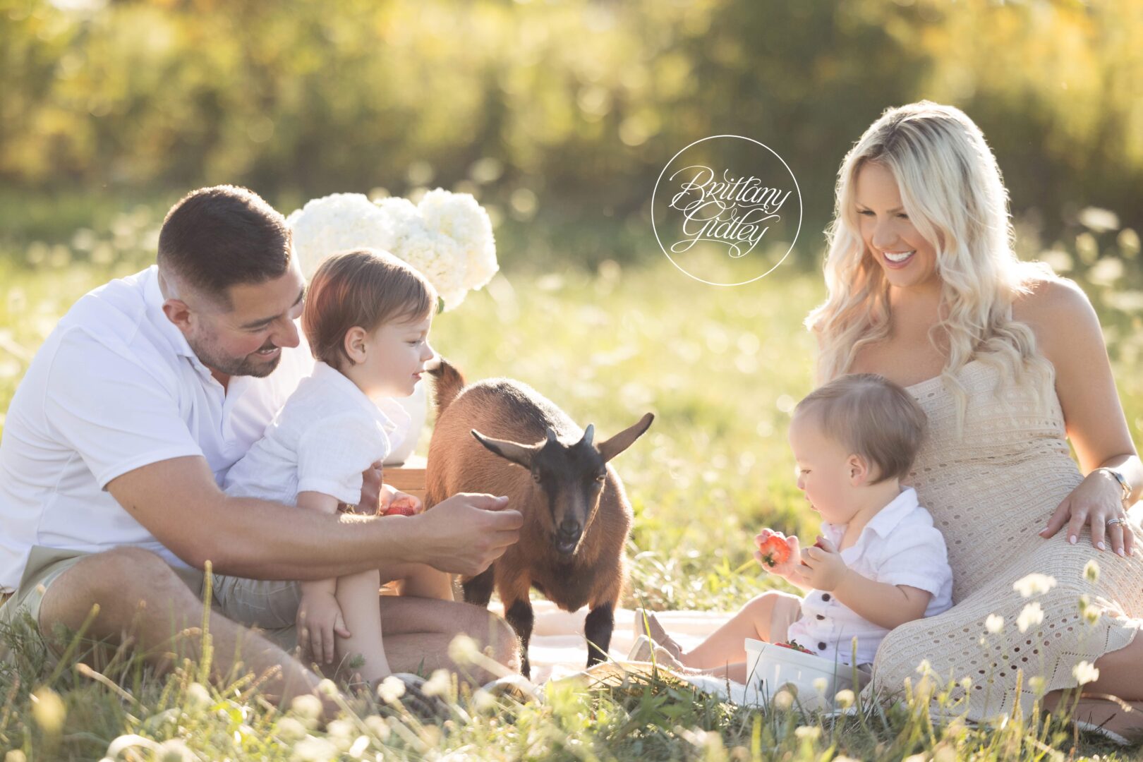 Goat Picnic Photo Shoot