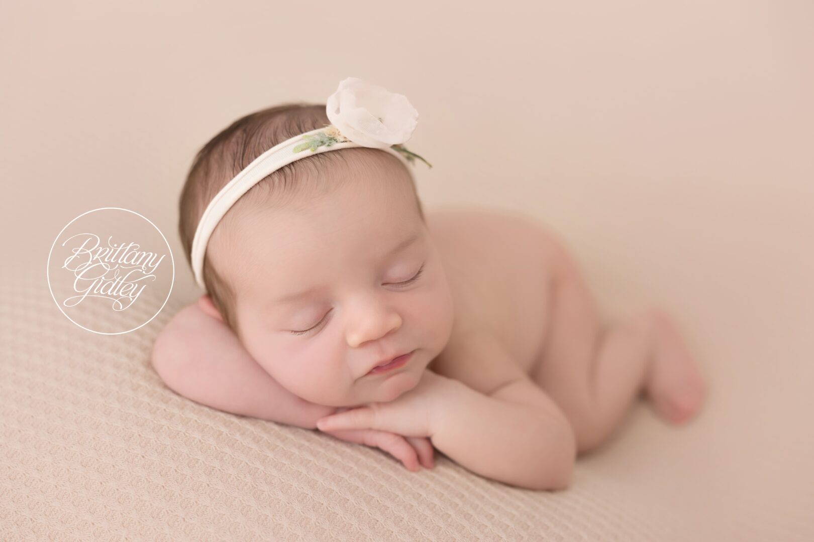 Newborn Baby Girl Cleveland Ohio Photography