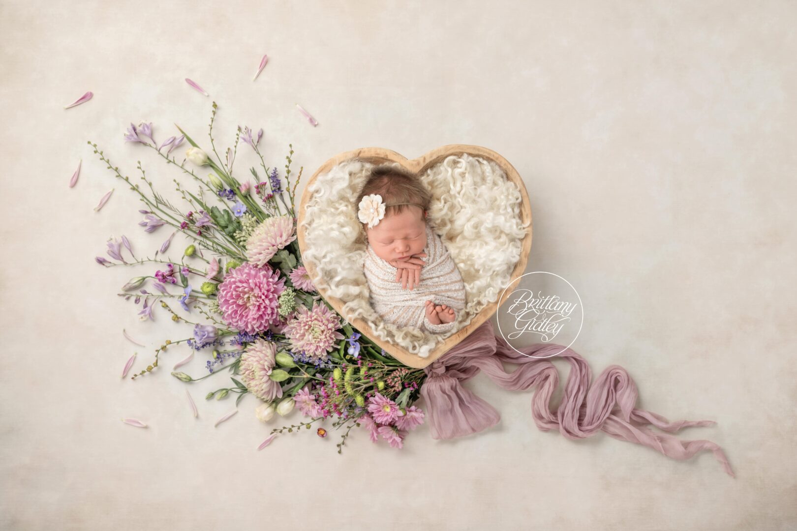 Newborn Baby Photo Shoot Cleveland Ohio
