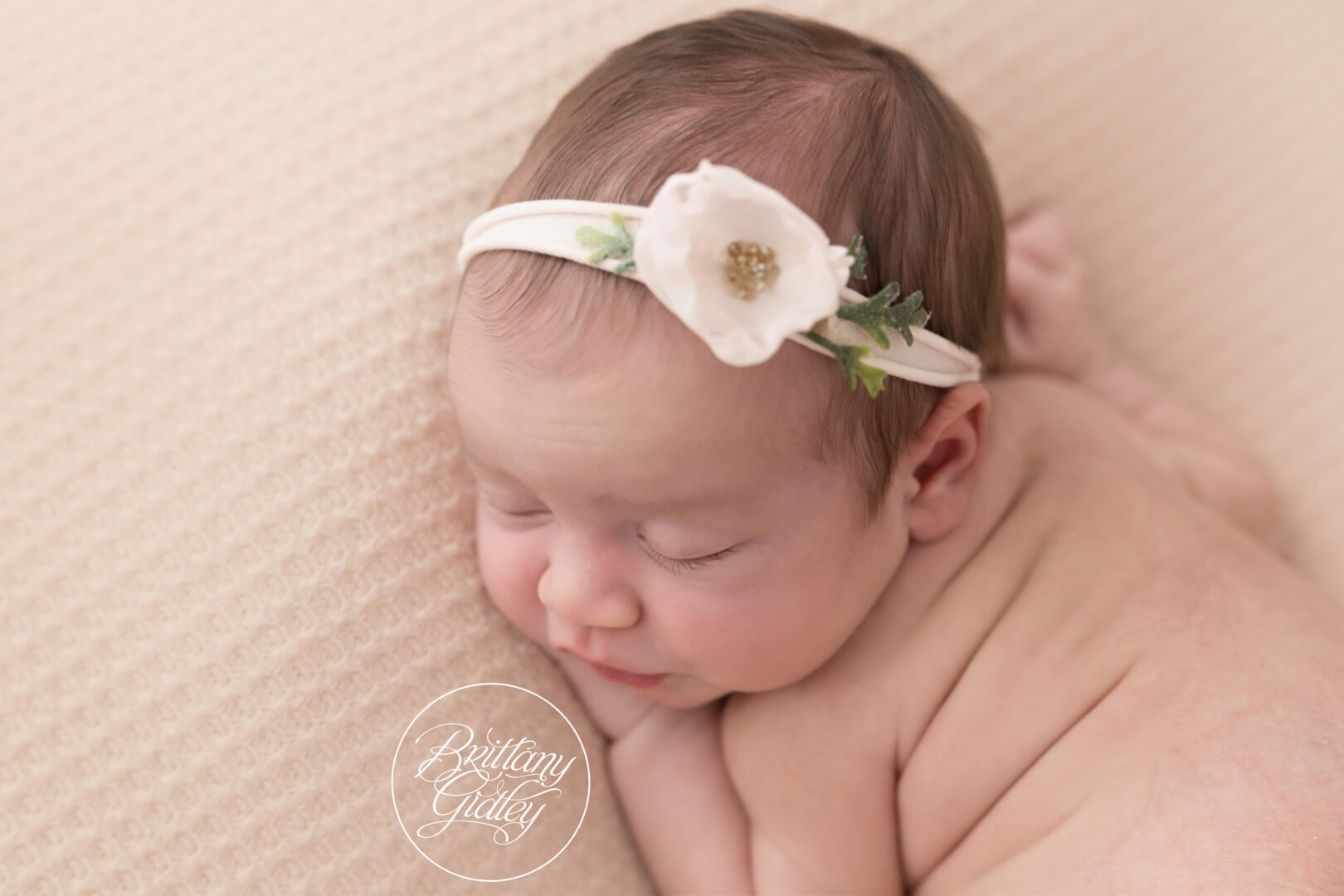 Newborn Photographer