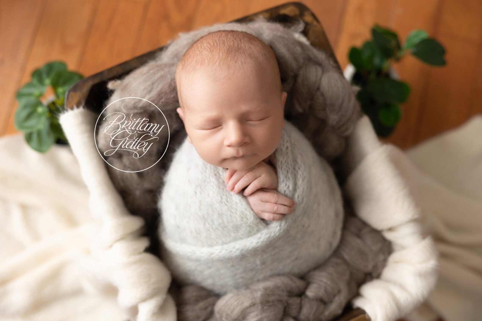 Cleveland Newborn Photography