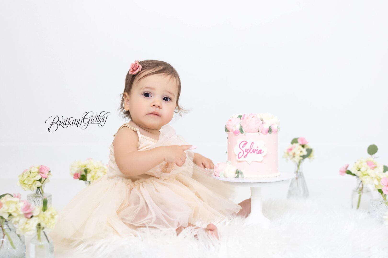 Baby Photography Cake Smash Cleveland Ohio