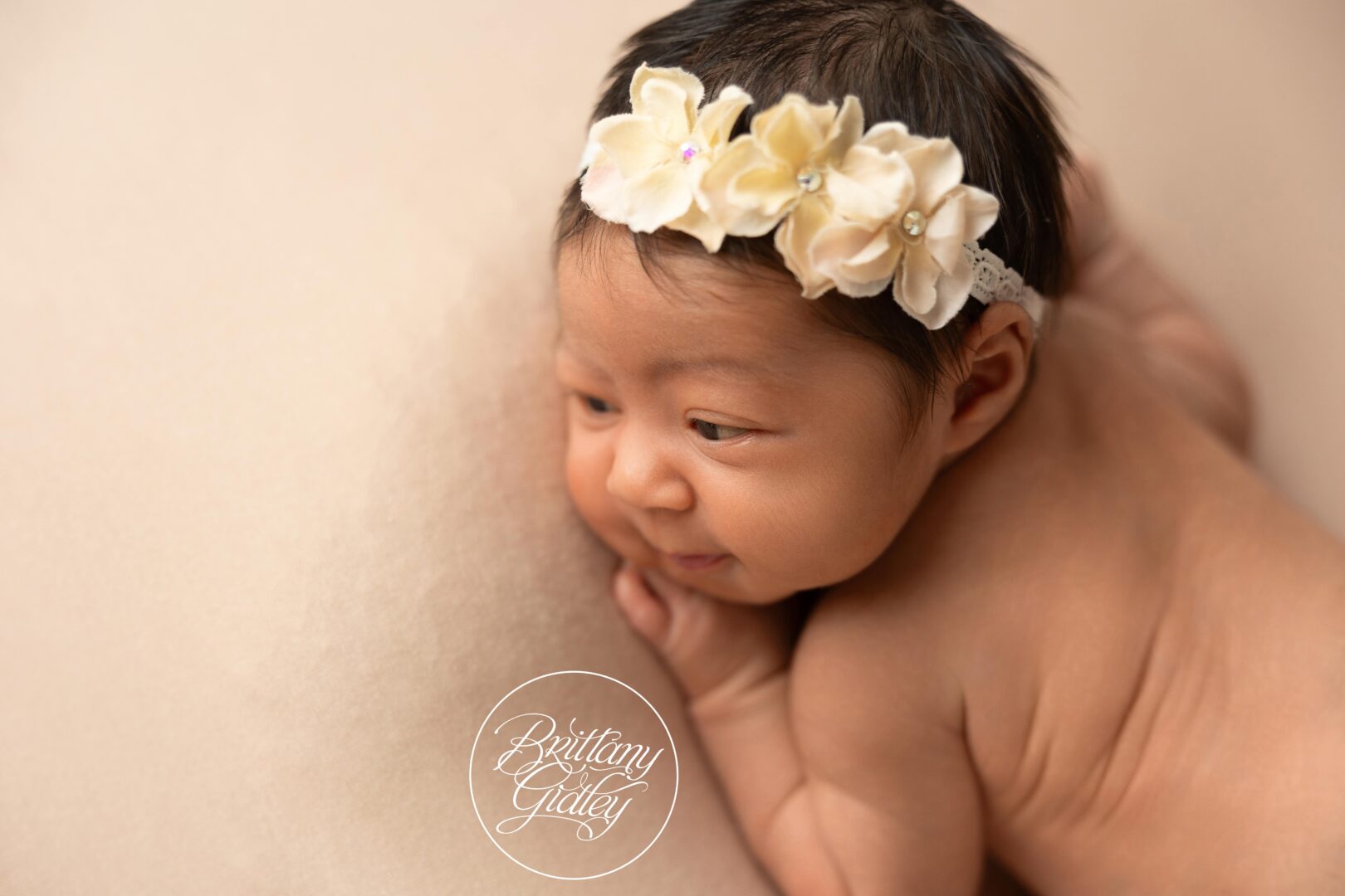 Newborn Baby Girl Photo Shoot Ohio Photography