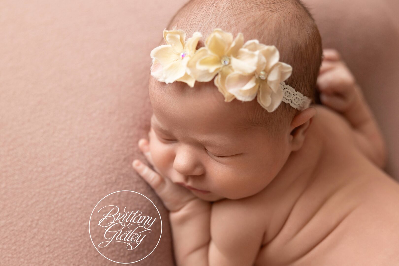 Timeless Newborn Baby Photos Cleveland Ohio