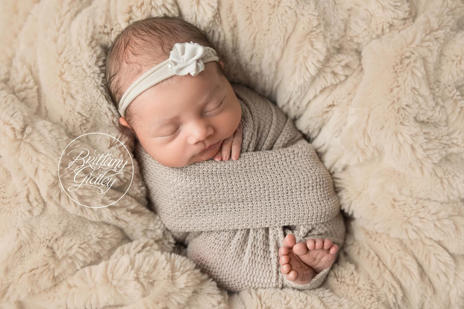 Baby Girl Photo Shoot Cleveland Ohio