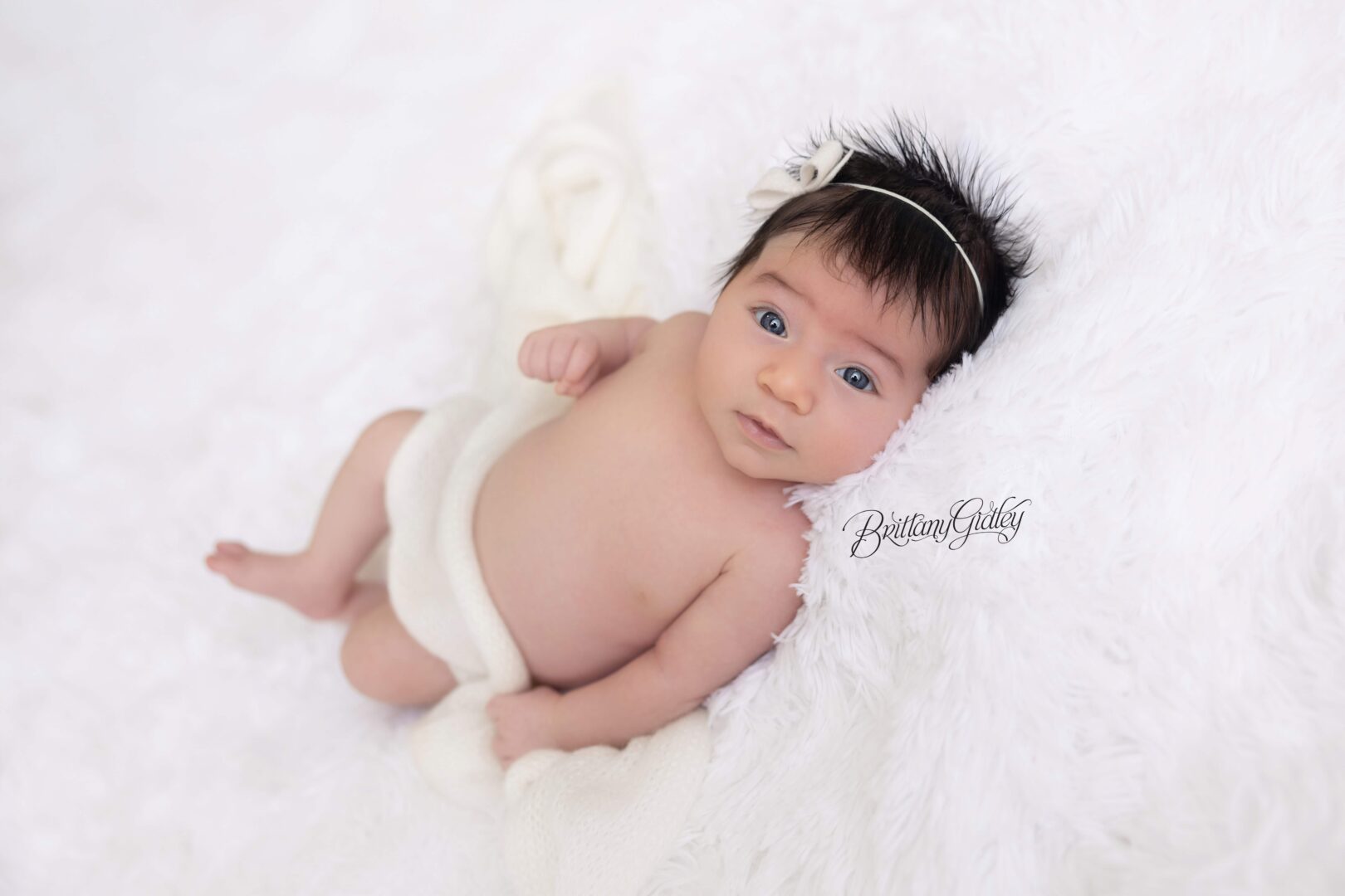 6 Week Old Baby Photo Shoot