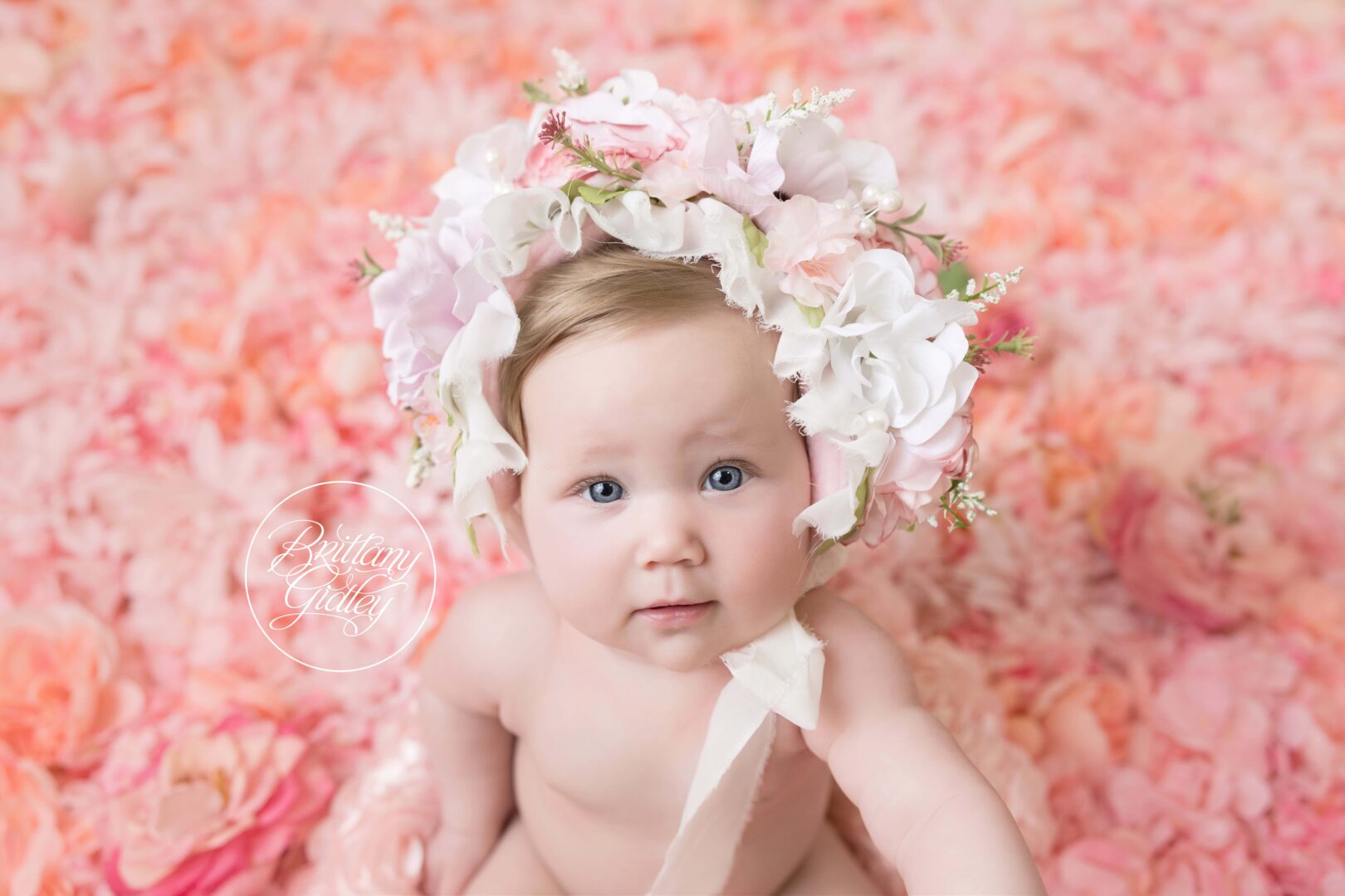 Baby Floral Photographs
