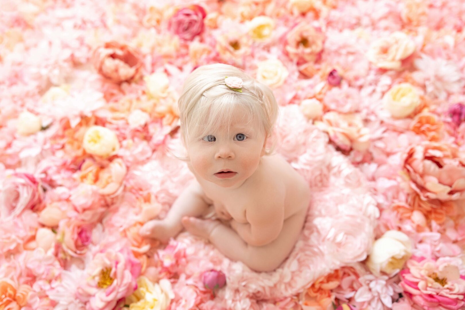 Photo Shoot in Flowers Cleveland Ohio