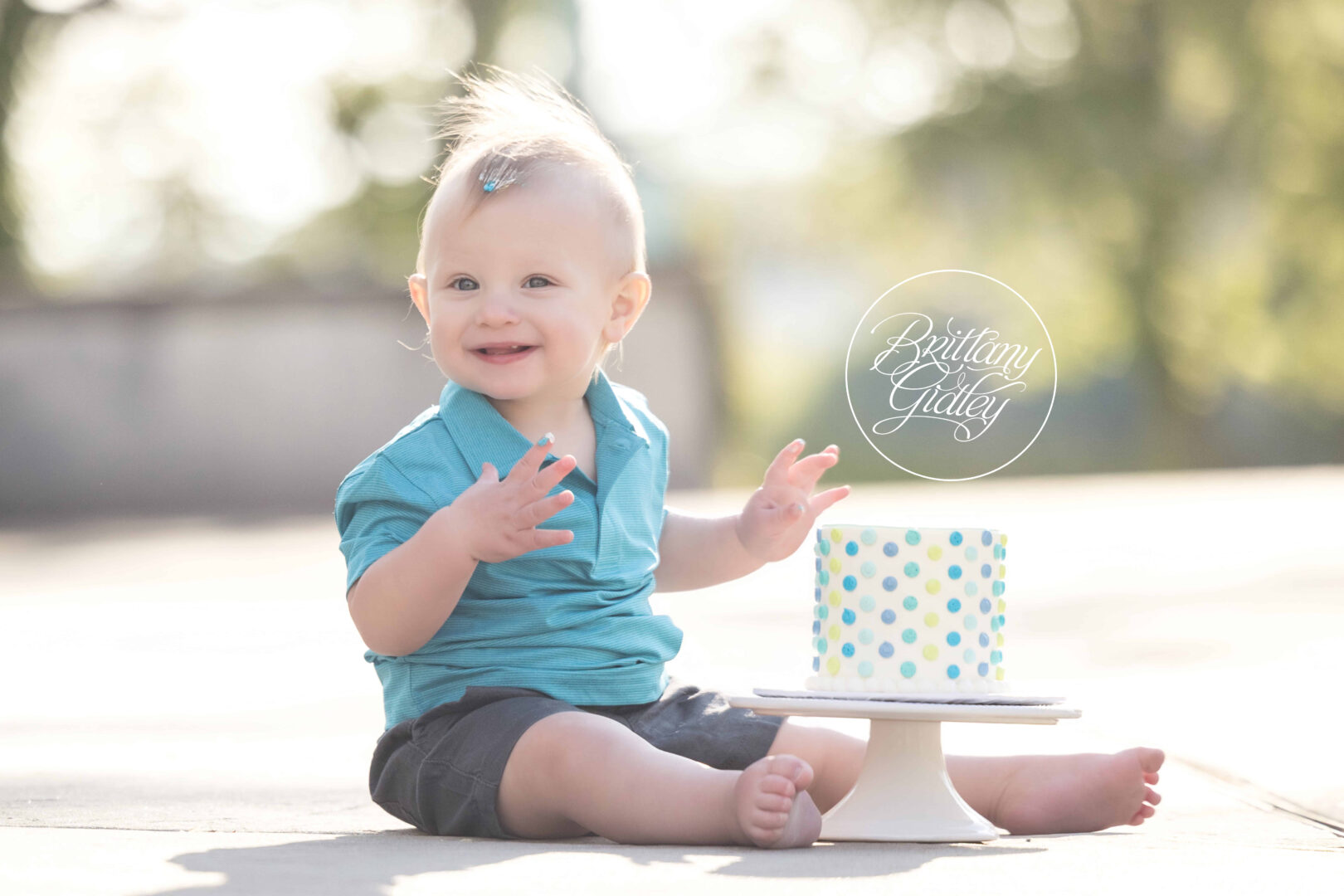 Cake Smash Photographer