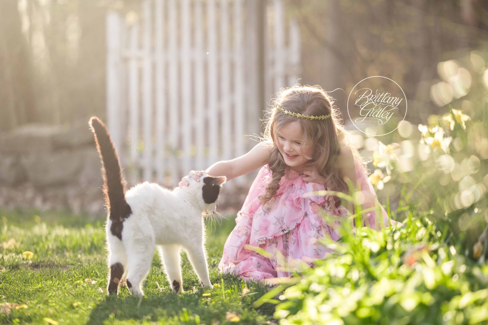 Cat and Child