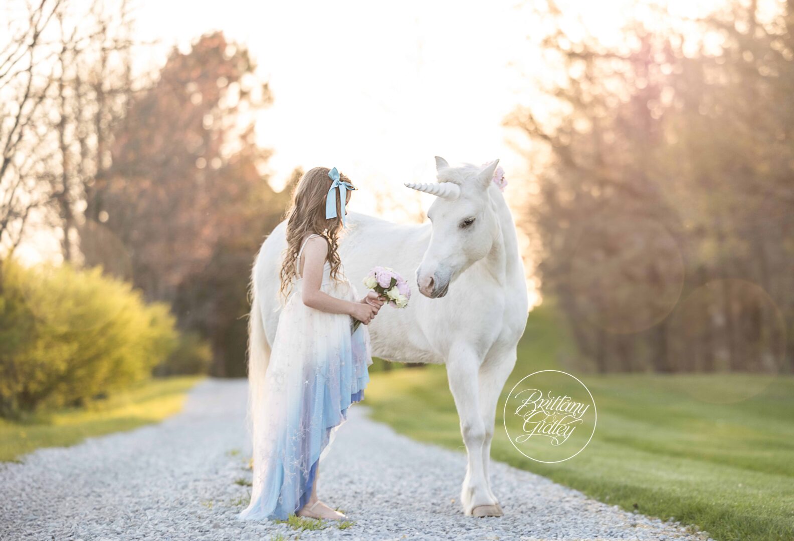 Unicorn Dream Session