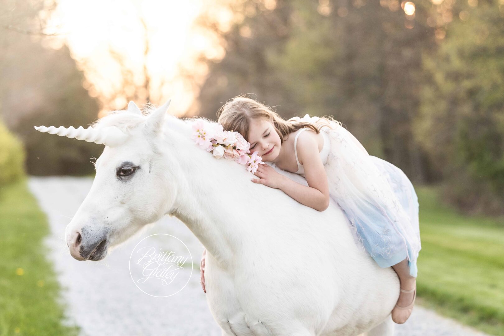 Unicorn Photo Shoot
