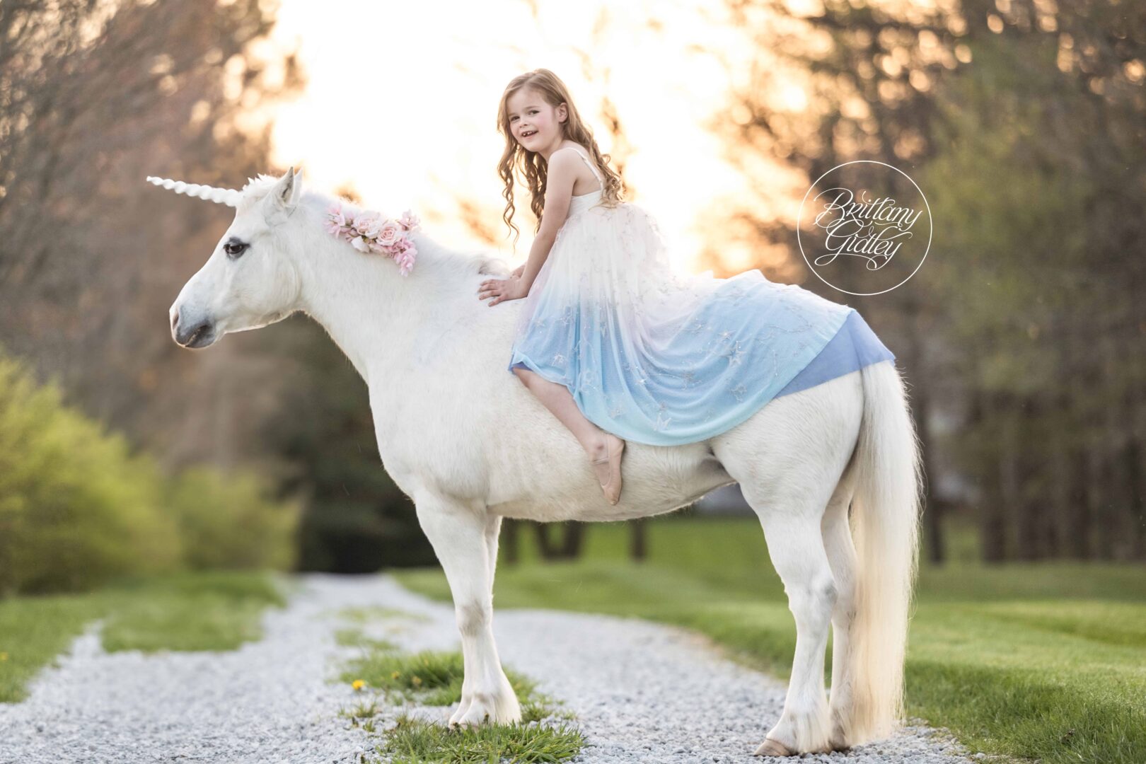 Unicorn Photography
