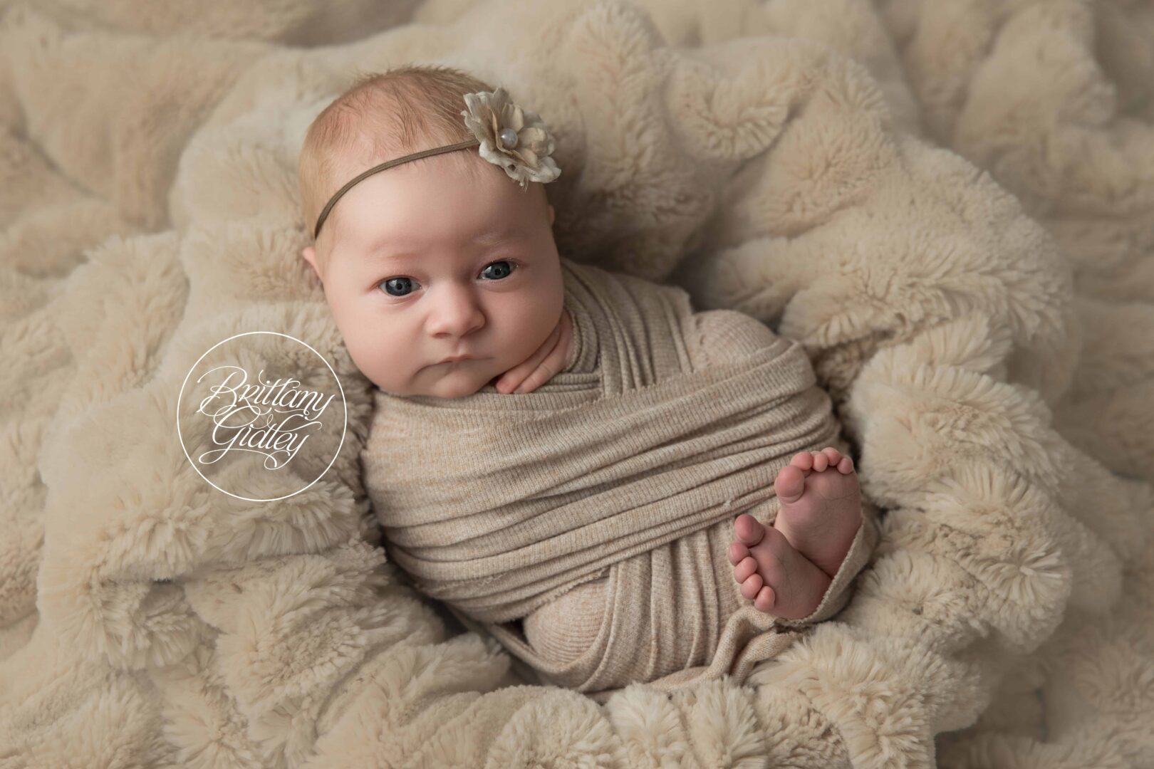 Baby & Newborn Photographer