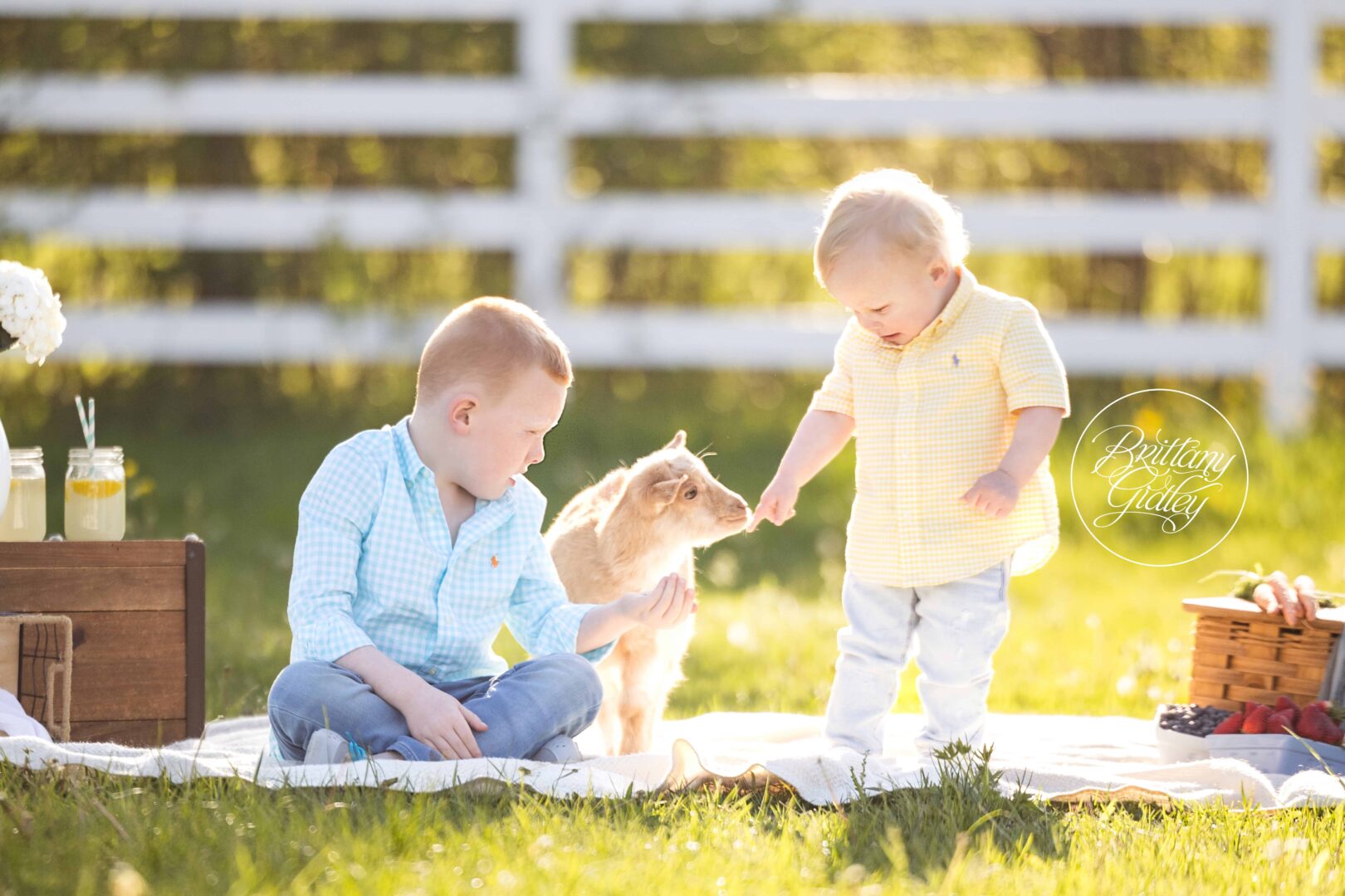 Best Farm Photo Shoot Richfield Ohio