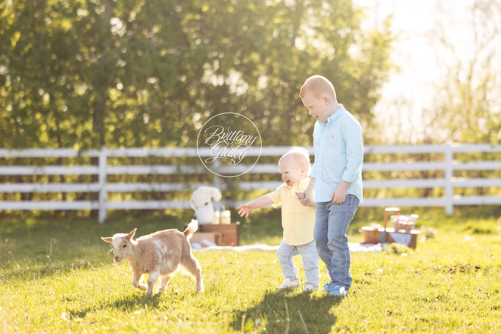 Best Farm Photographer Richfield Ohio
