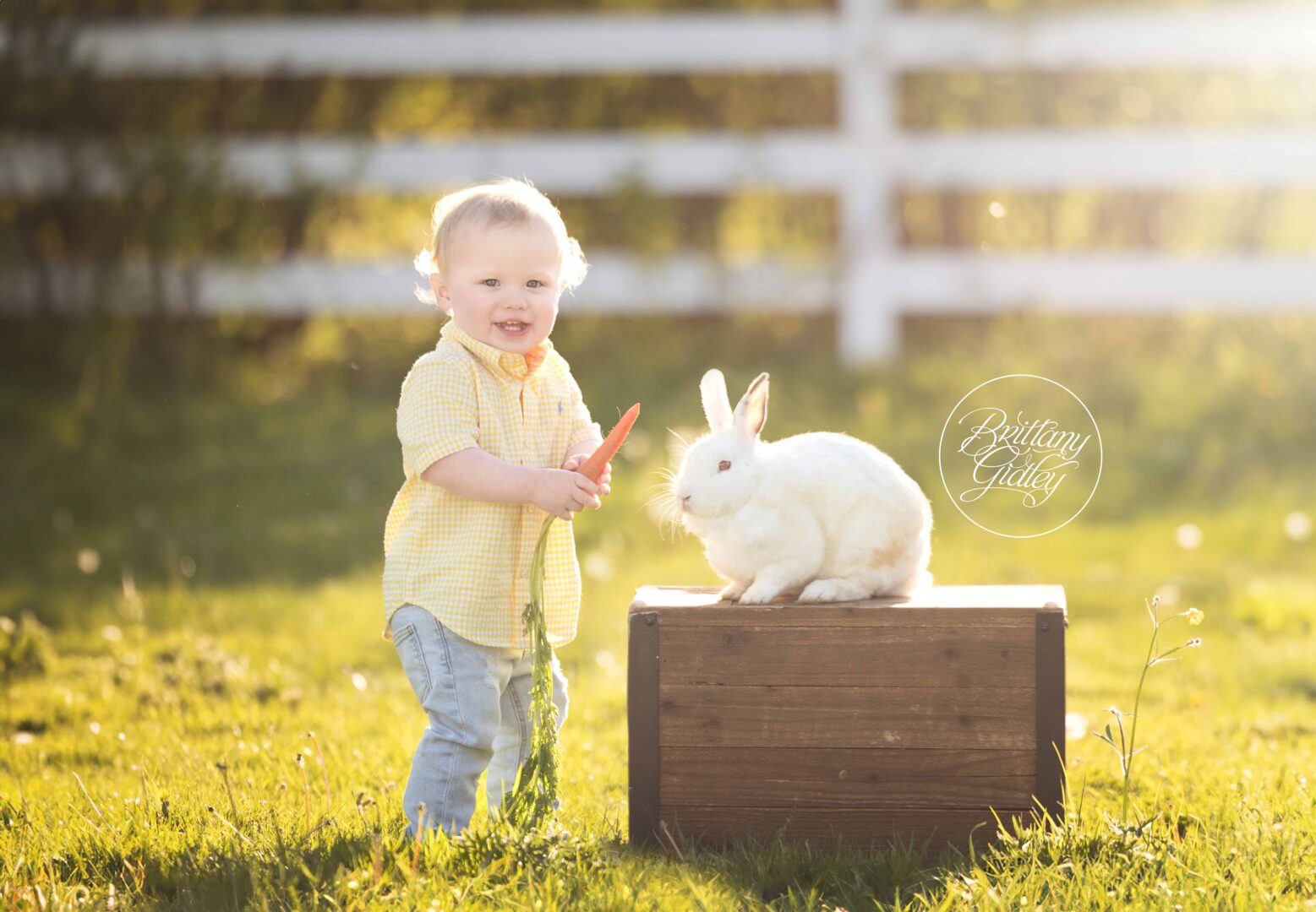 Bunny Photo Shoot Baby