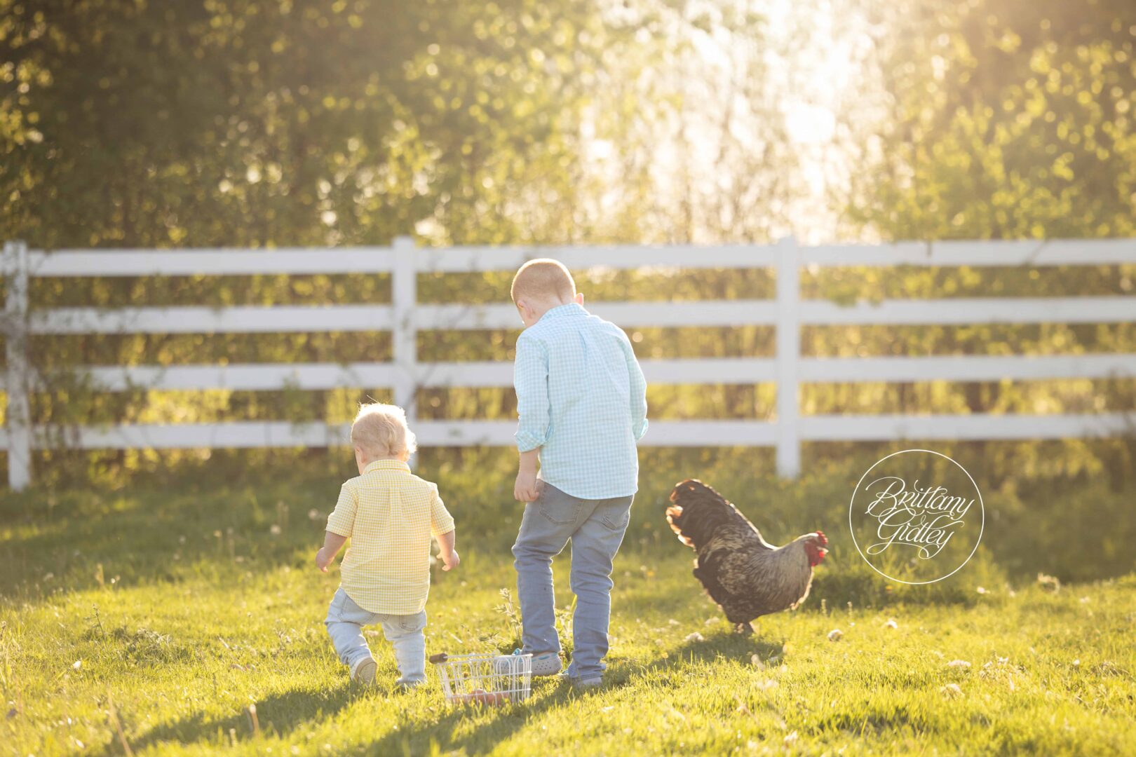 Chicken Photo Shoot Kids
