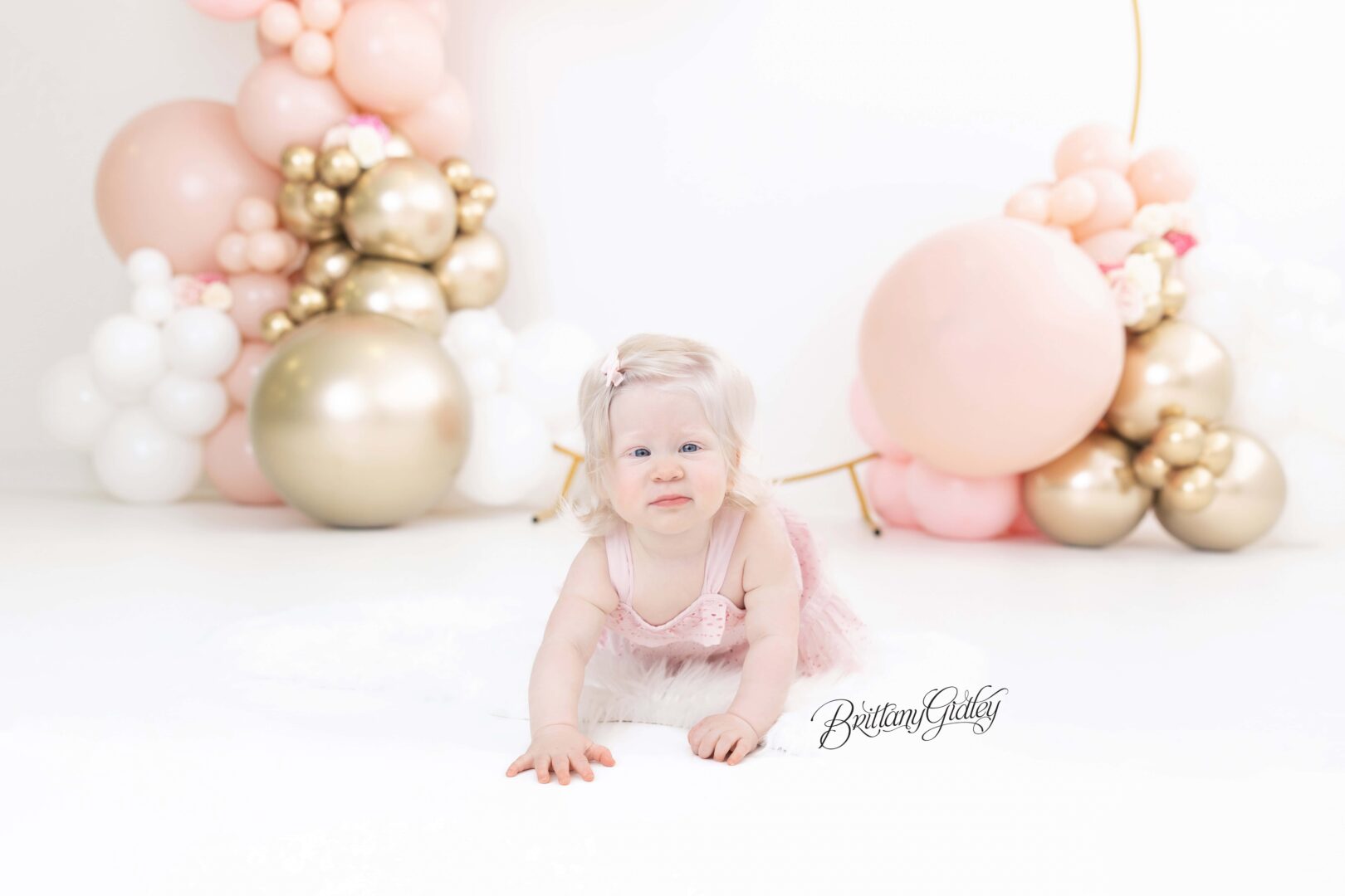 Dream Session | Gates Mills Family Photos