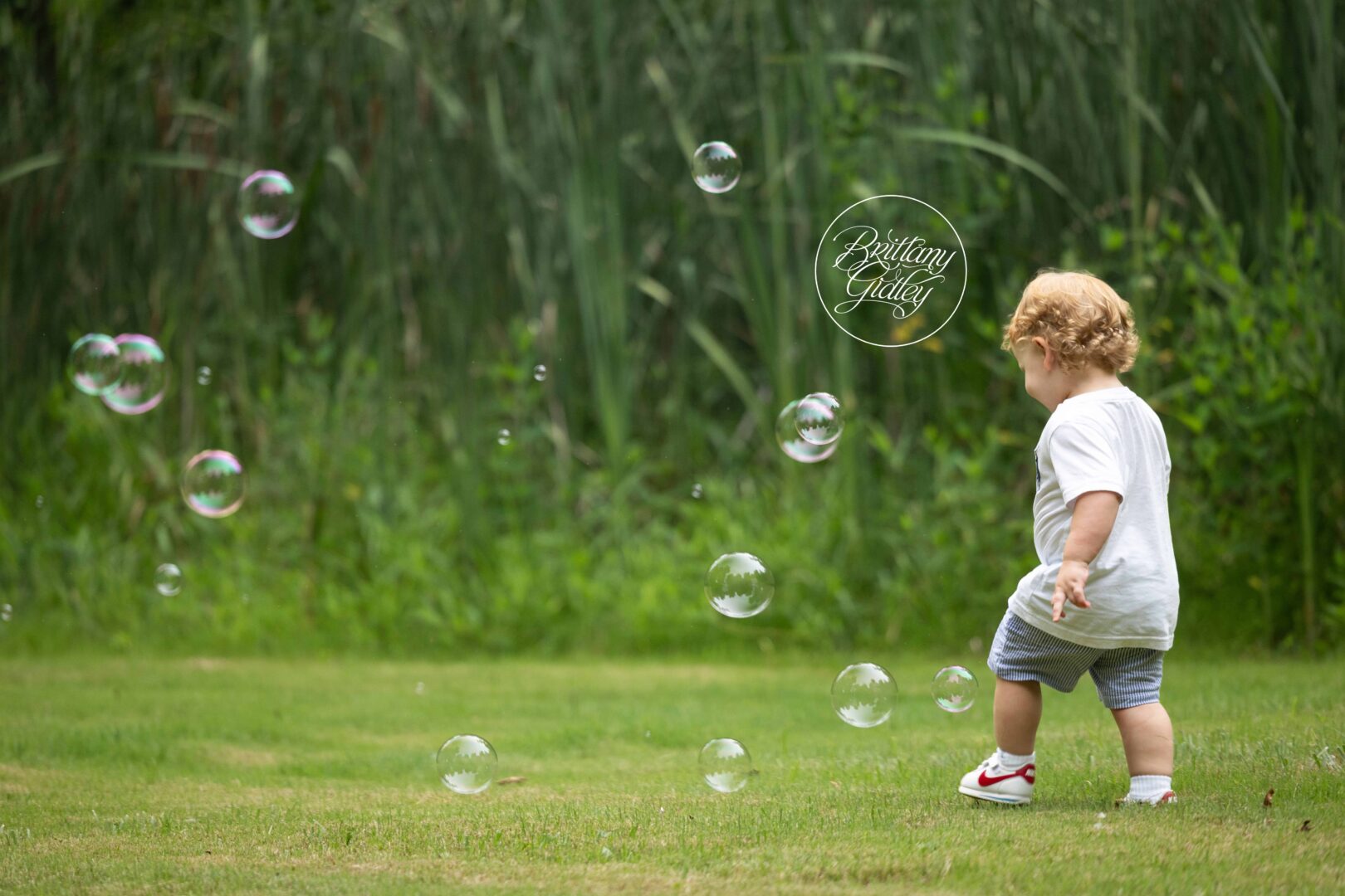 Bubbles Toddler Photos