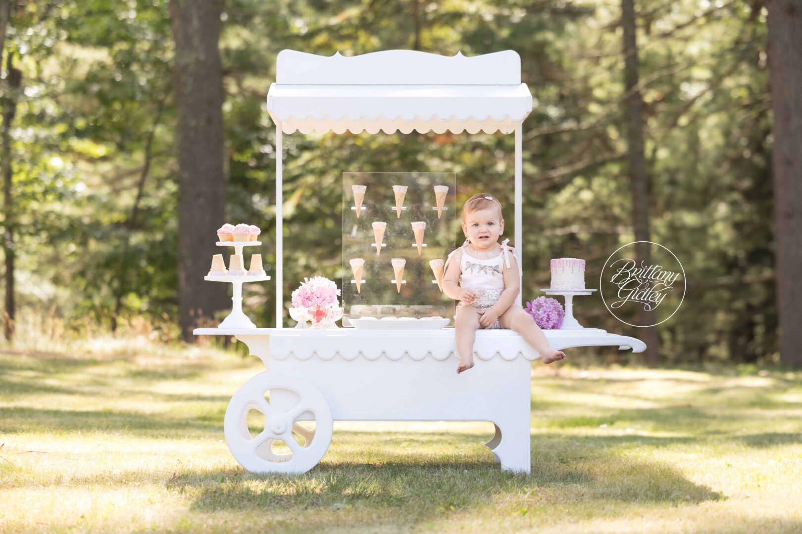 Ice Cream Cart Cake Smash