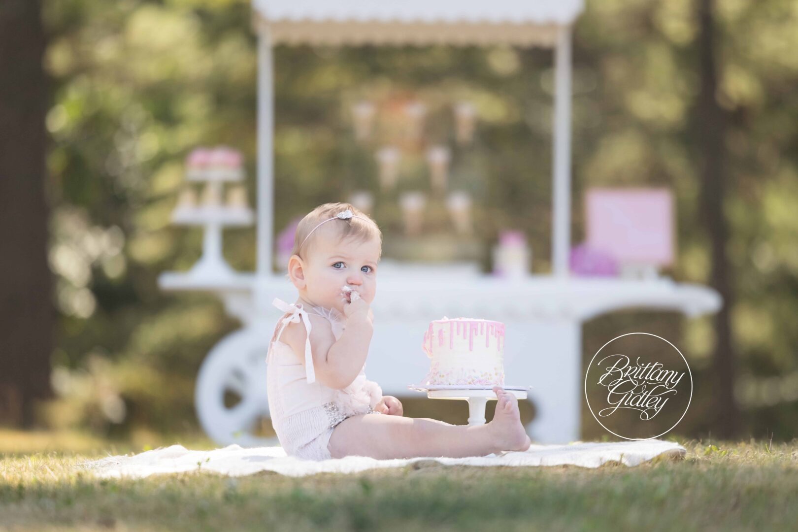 Ice Cream Dream Session Theme Photo Shoot Cake Smash