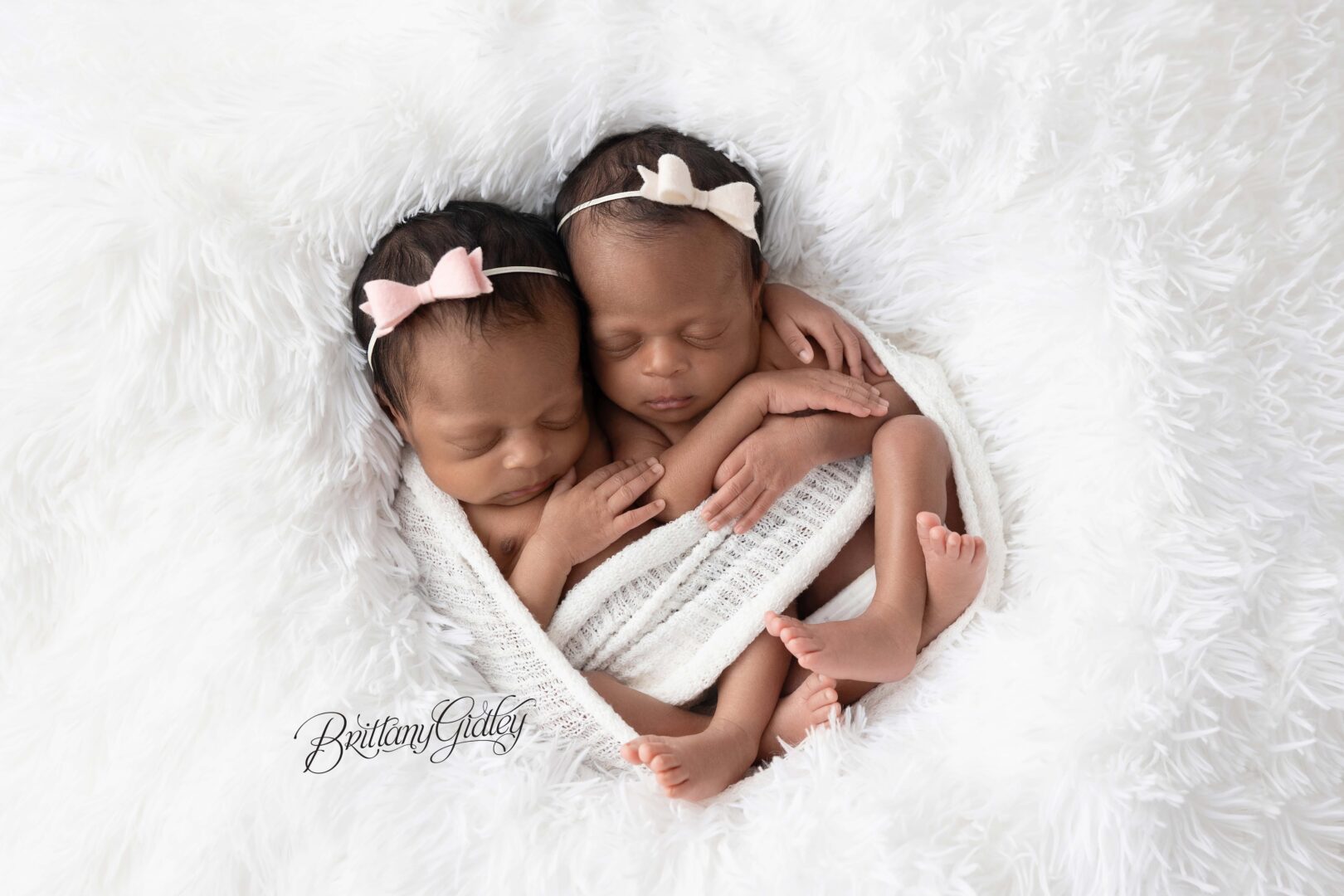 Twin Newborn Cleveland Photography