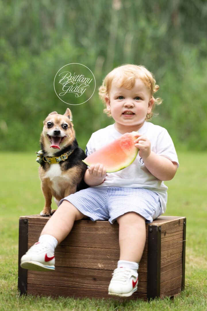 Watermelon Photos