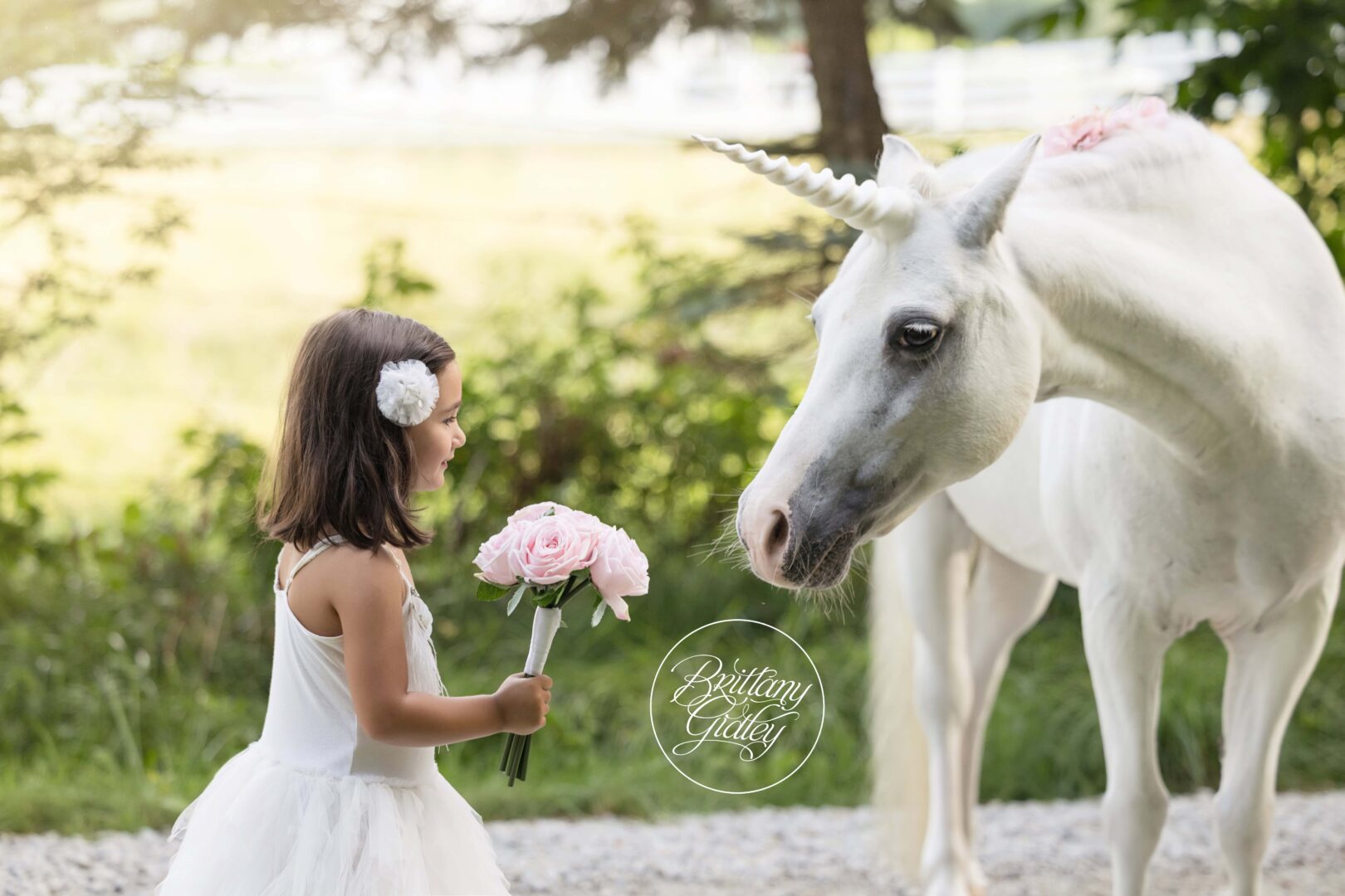Best Unicorn Dream Session Photo Shoot