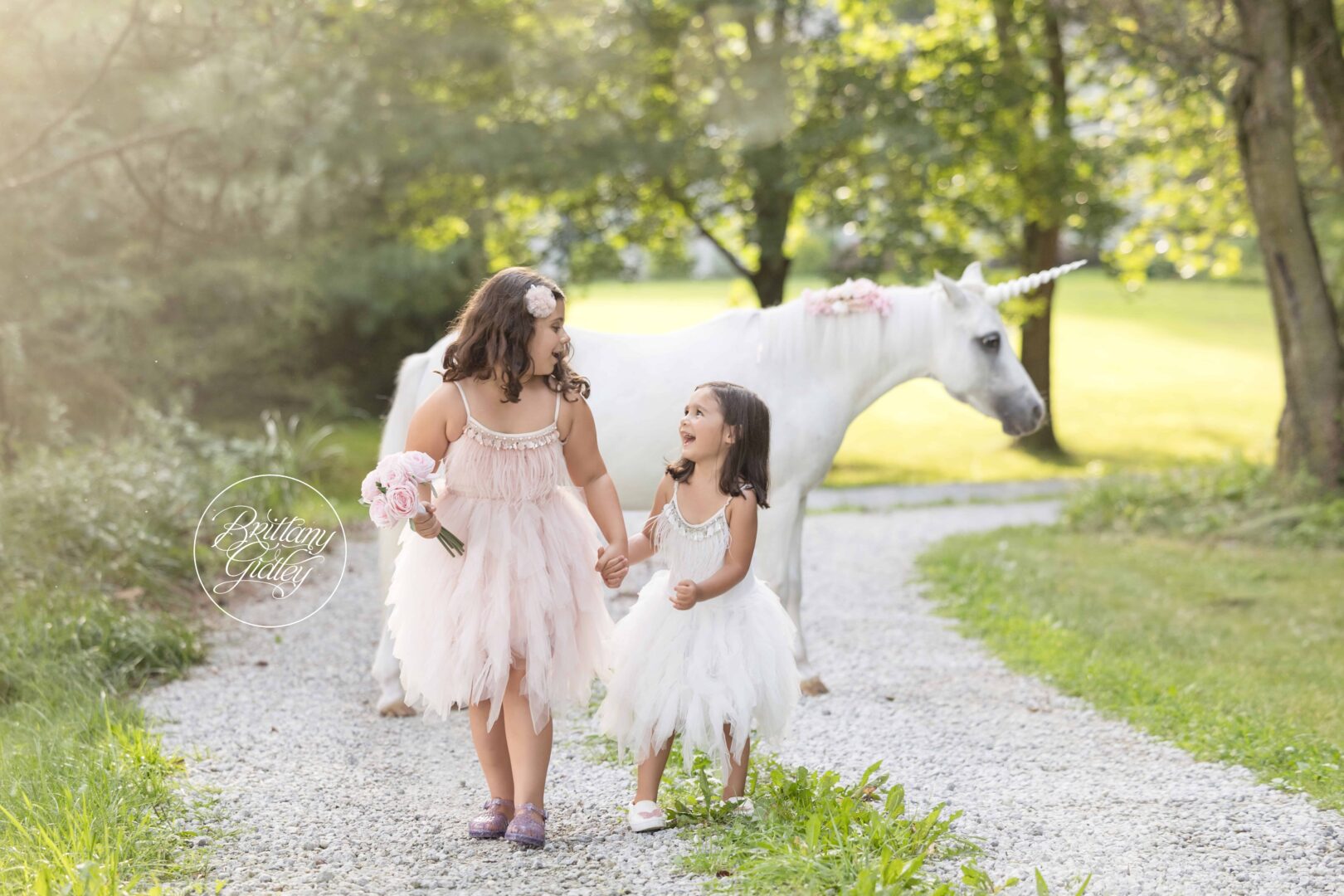 Ohio Unicorn Photographer